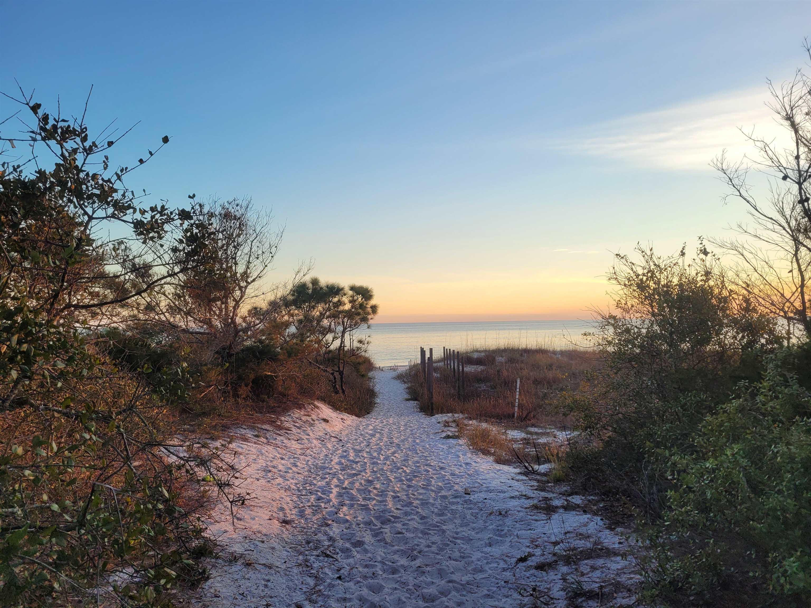 1372 Alligator Drive, Alligator Point, Florida image 39