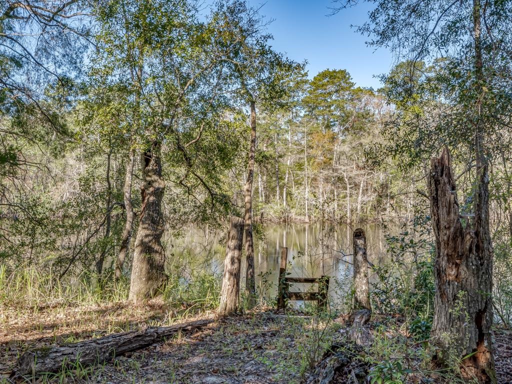 32 N Easy Street, Sopchoppy, Florida image 28