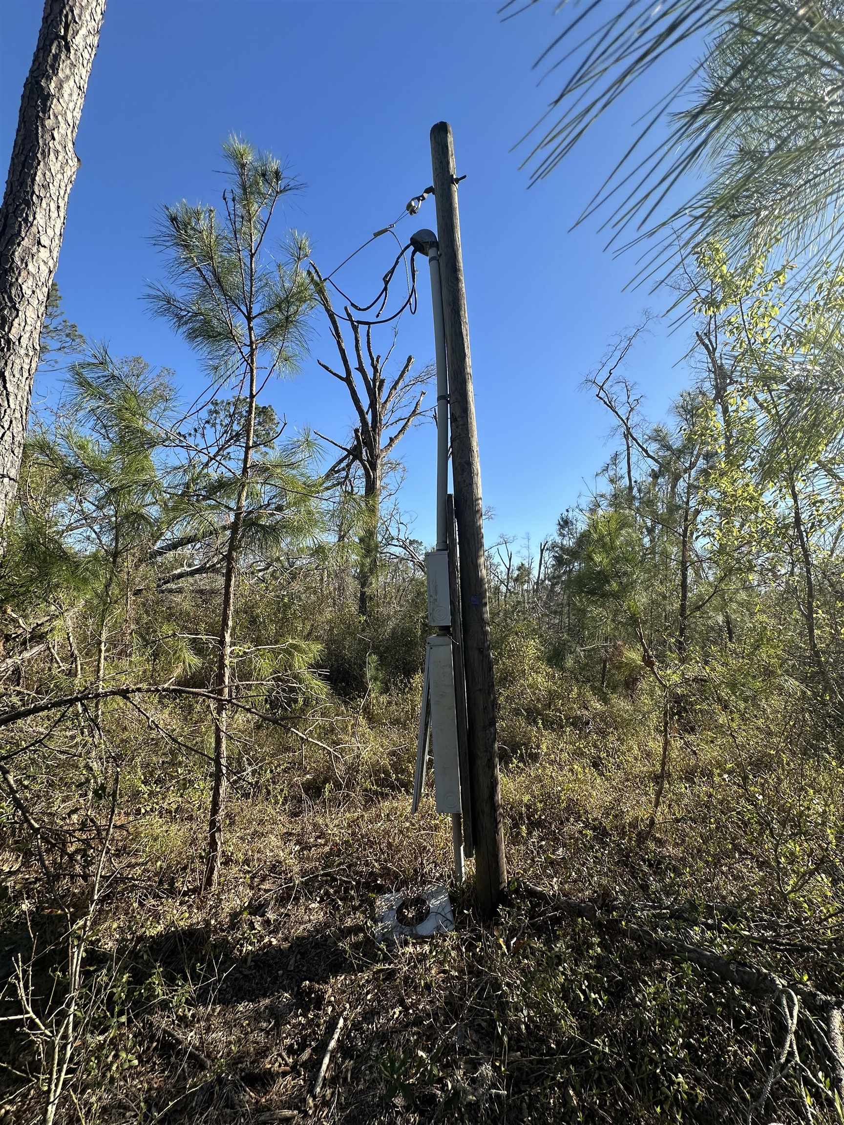 Langford Lane, Perry, Florida image 11