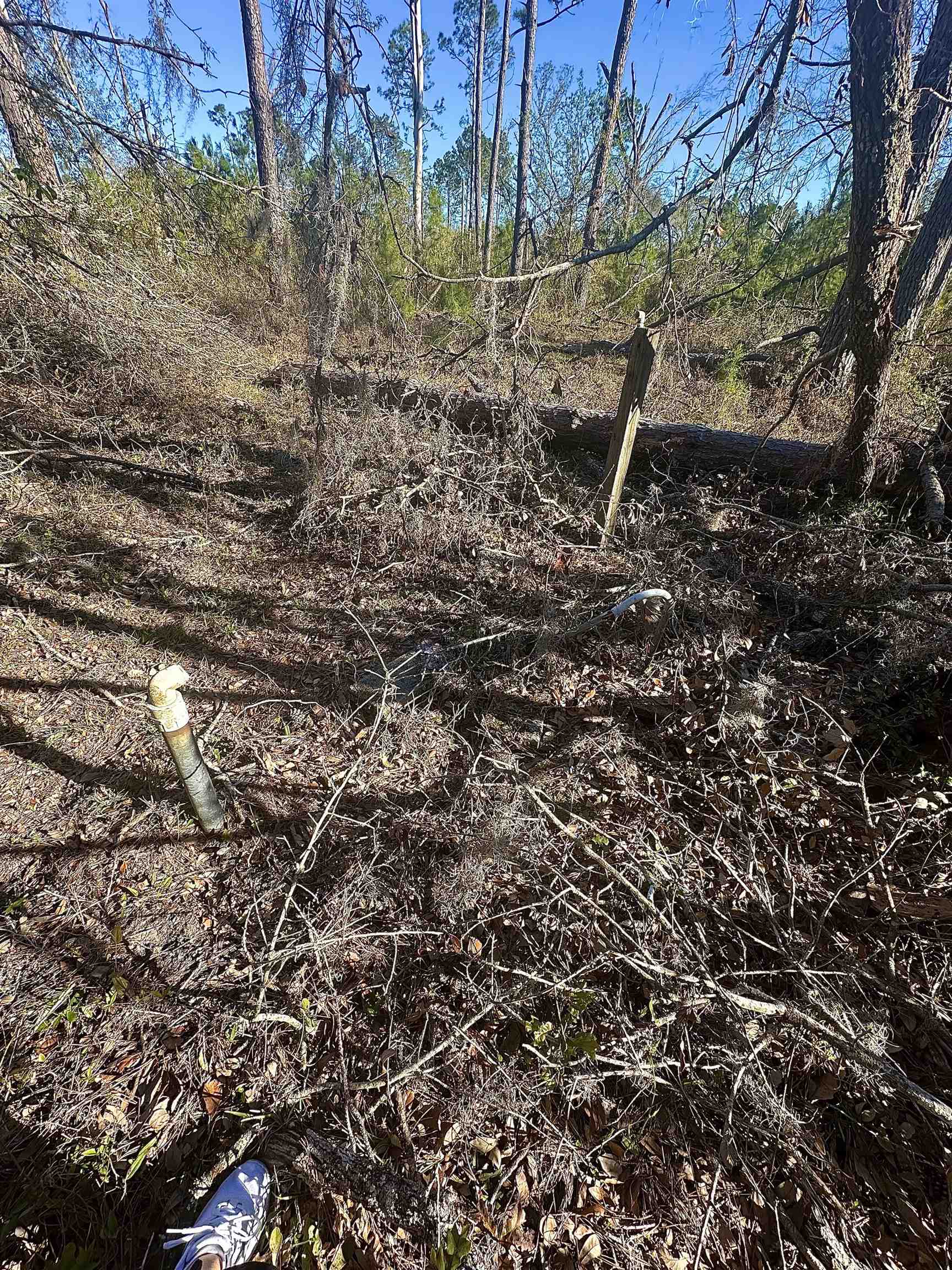 Langford Lane, Perry, Florida image 13