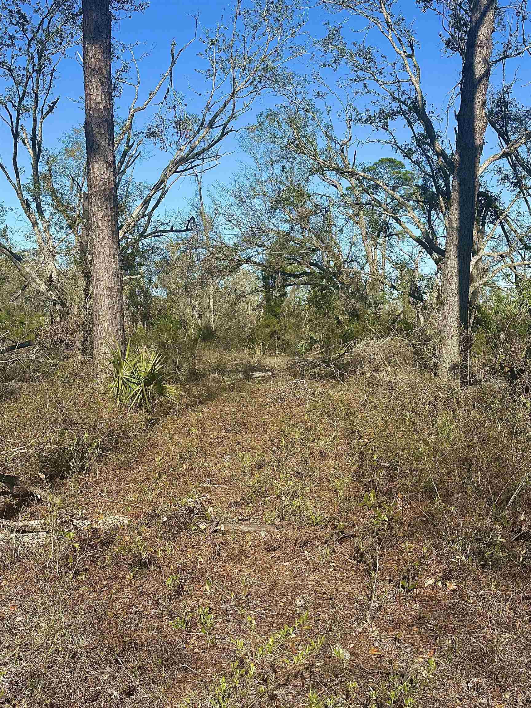 Langford Lane, Perry, Florida image 14