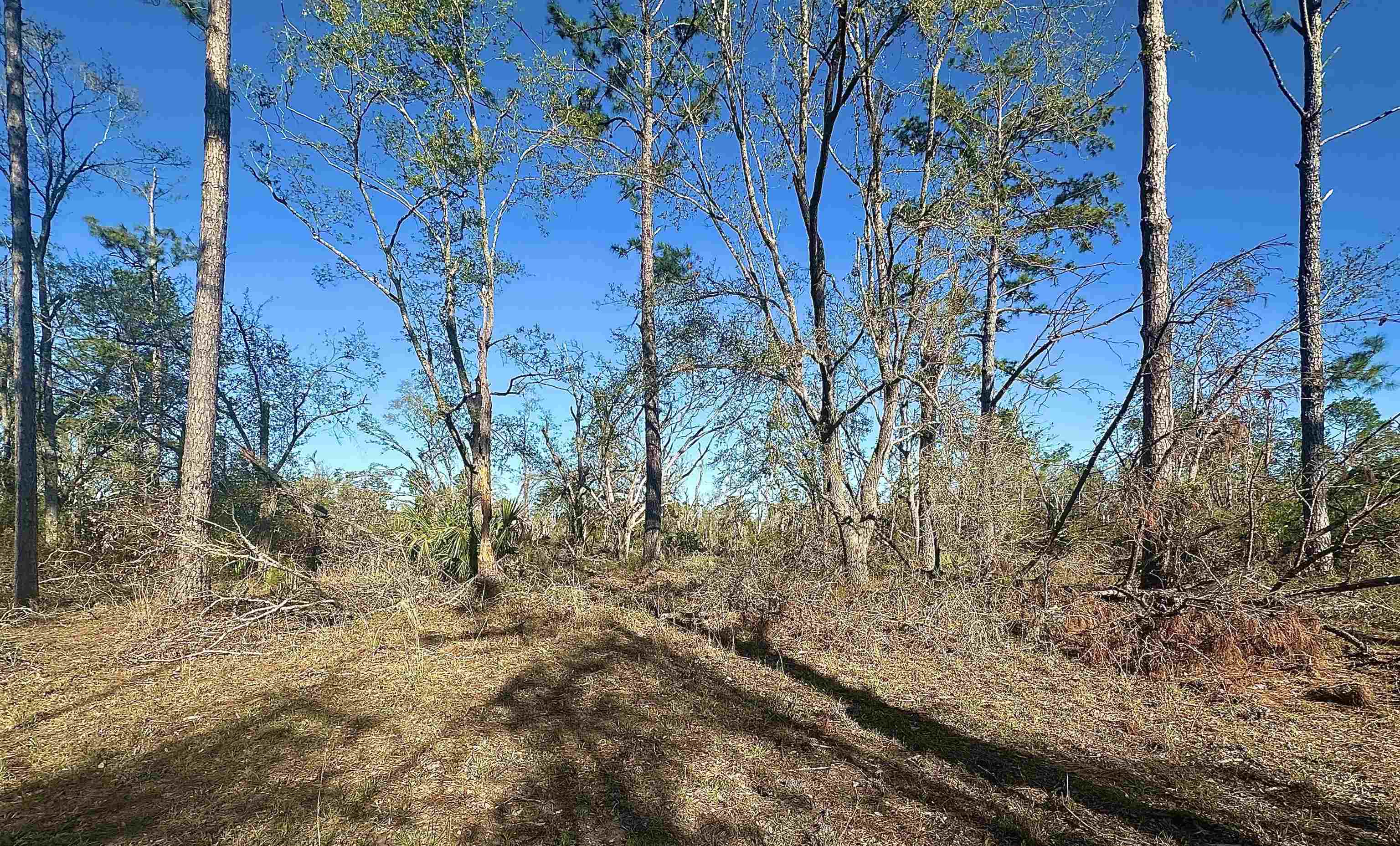 Langford Lane, Perry, Florida image 15