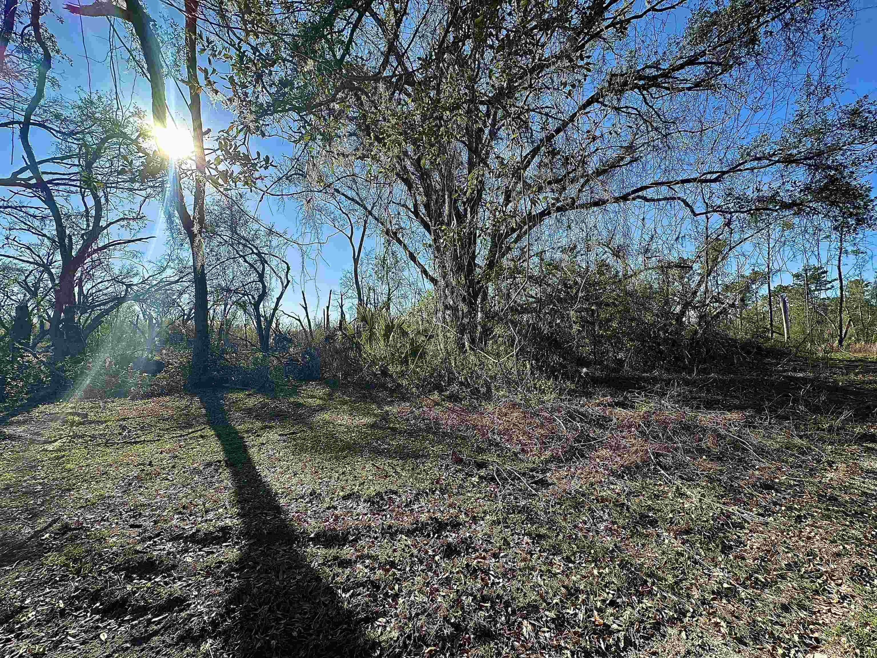Langford Lane, Perry, Florida image 17
