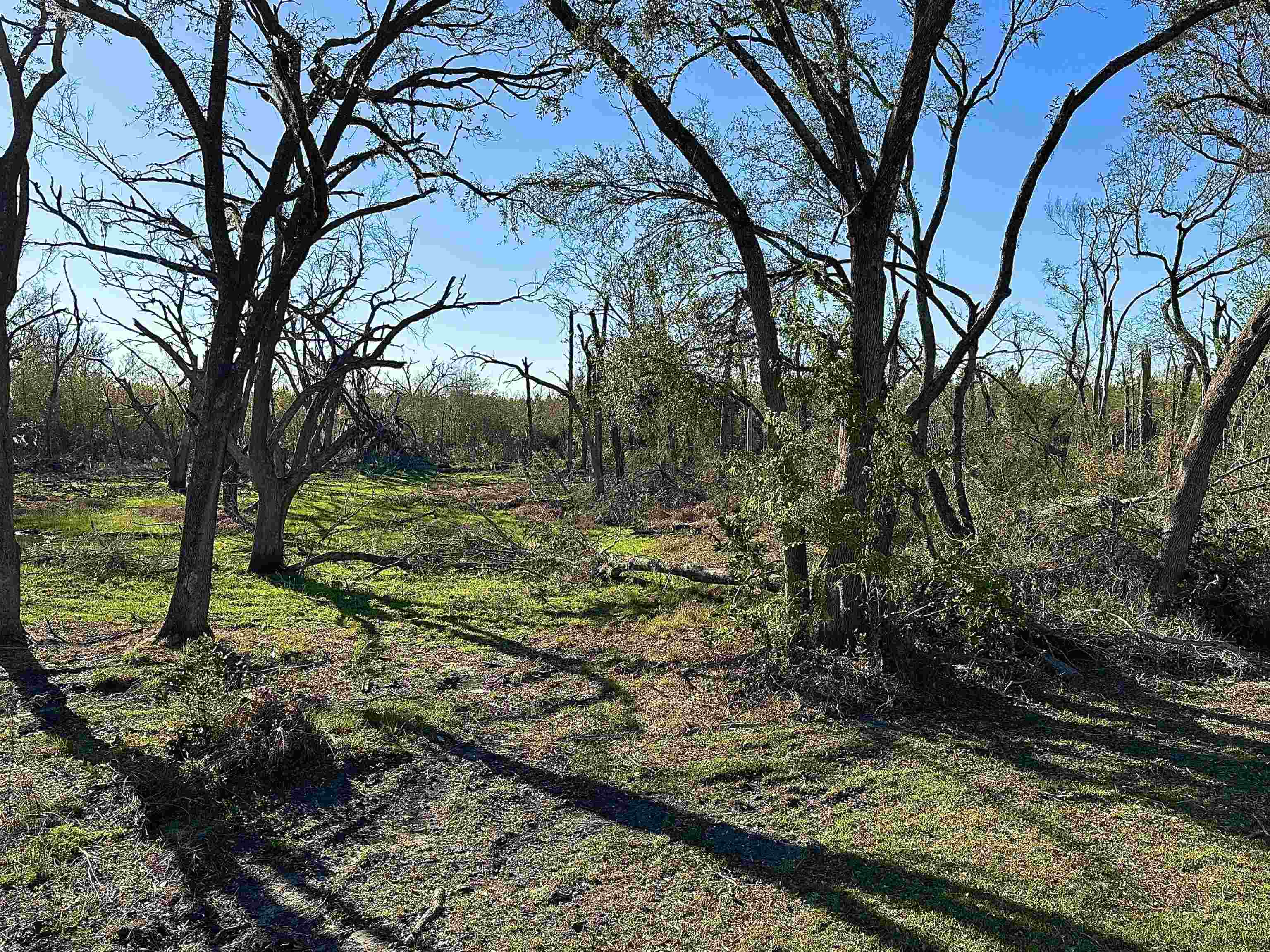 Langford Lane, Perry, Florida image 19