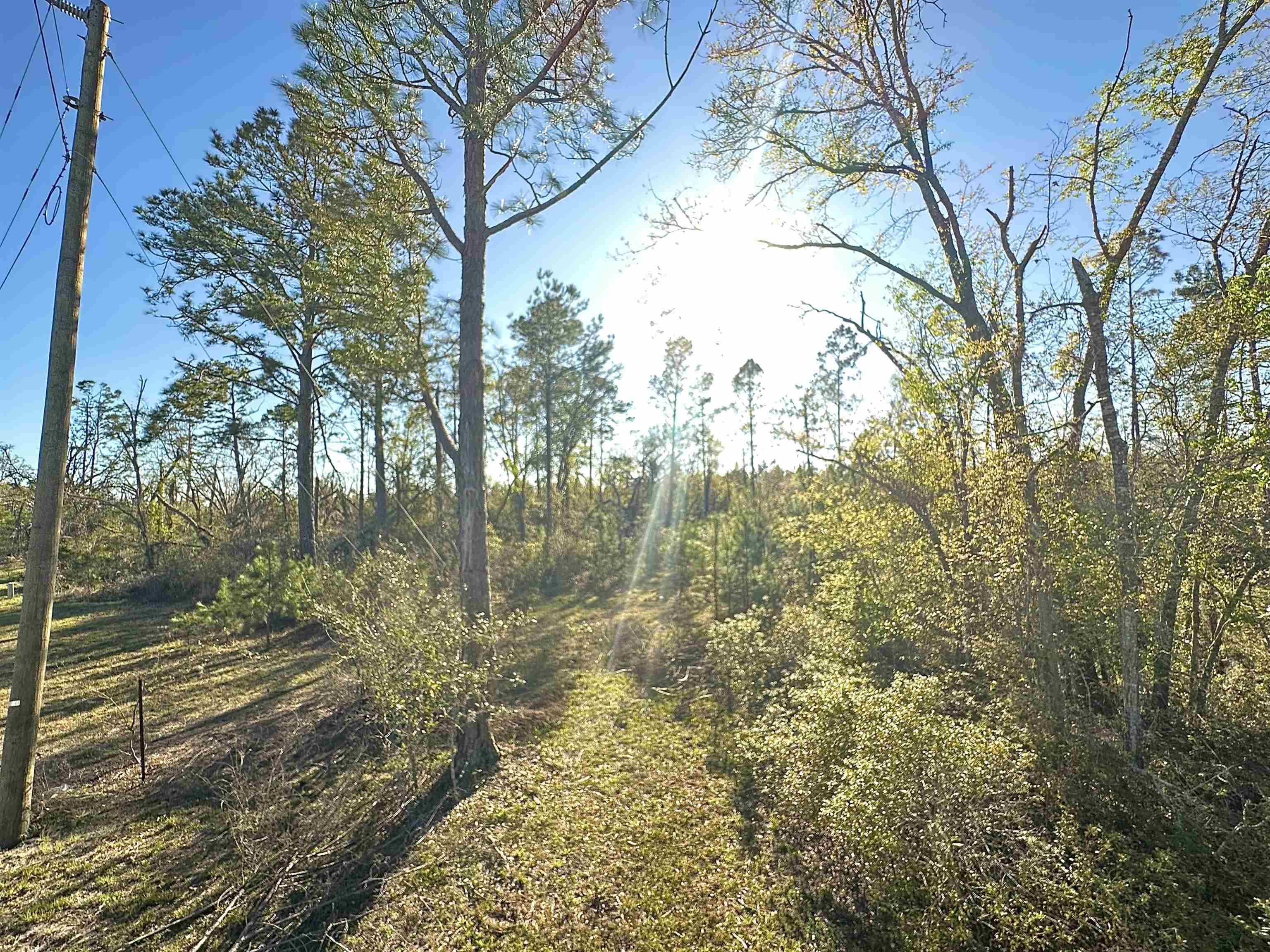 Langford Lane, Perry, Florida image 2