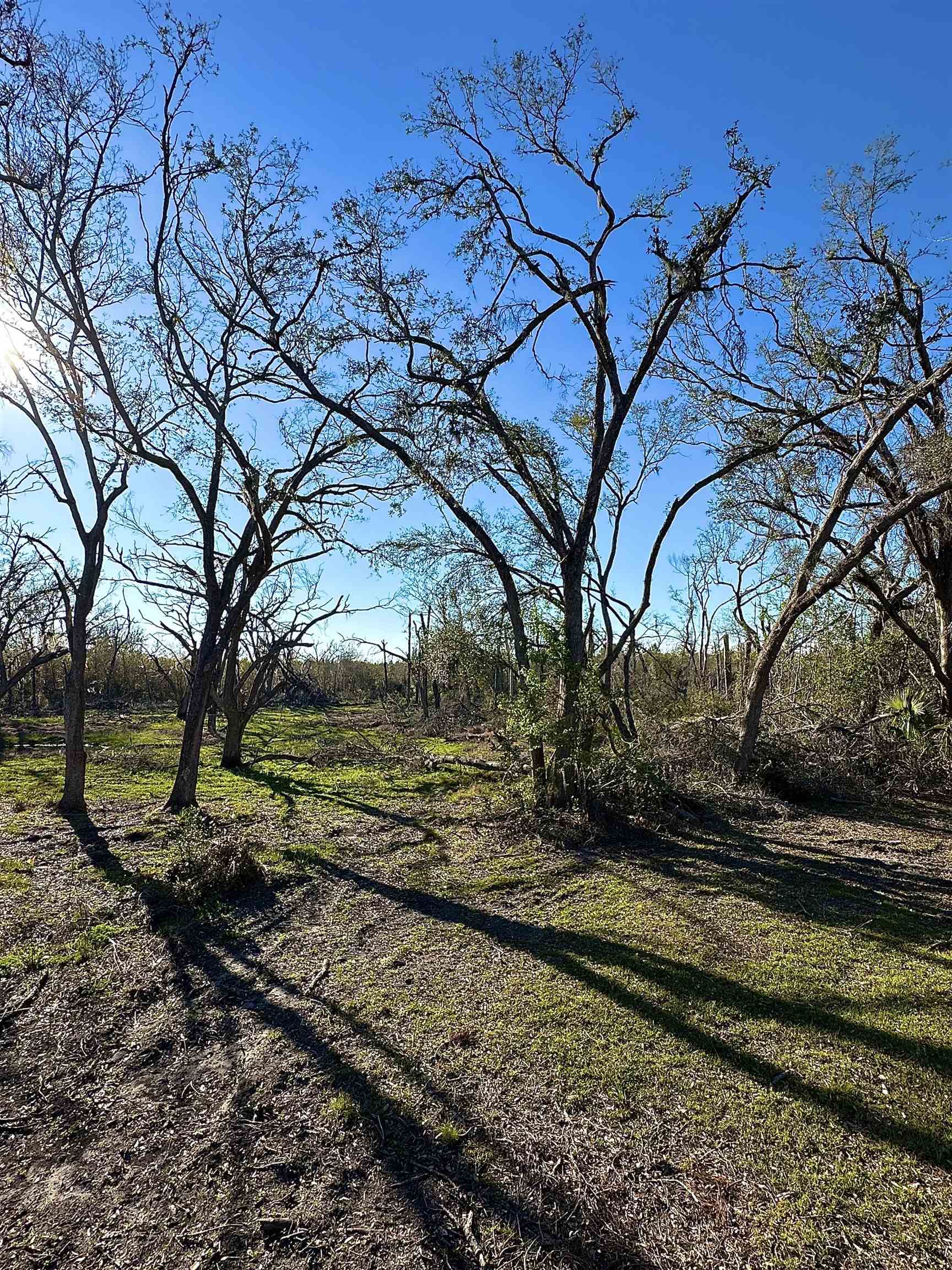 Langford Lane, Perry, Florida image 20