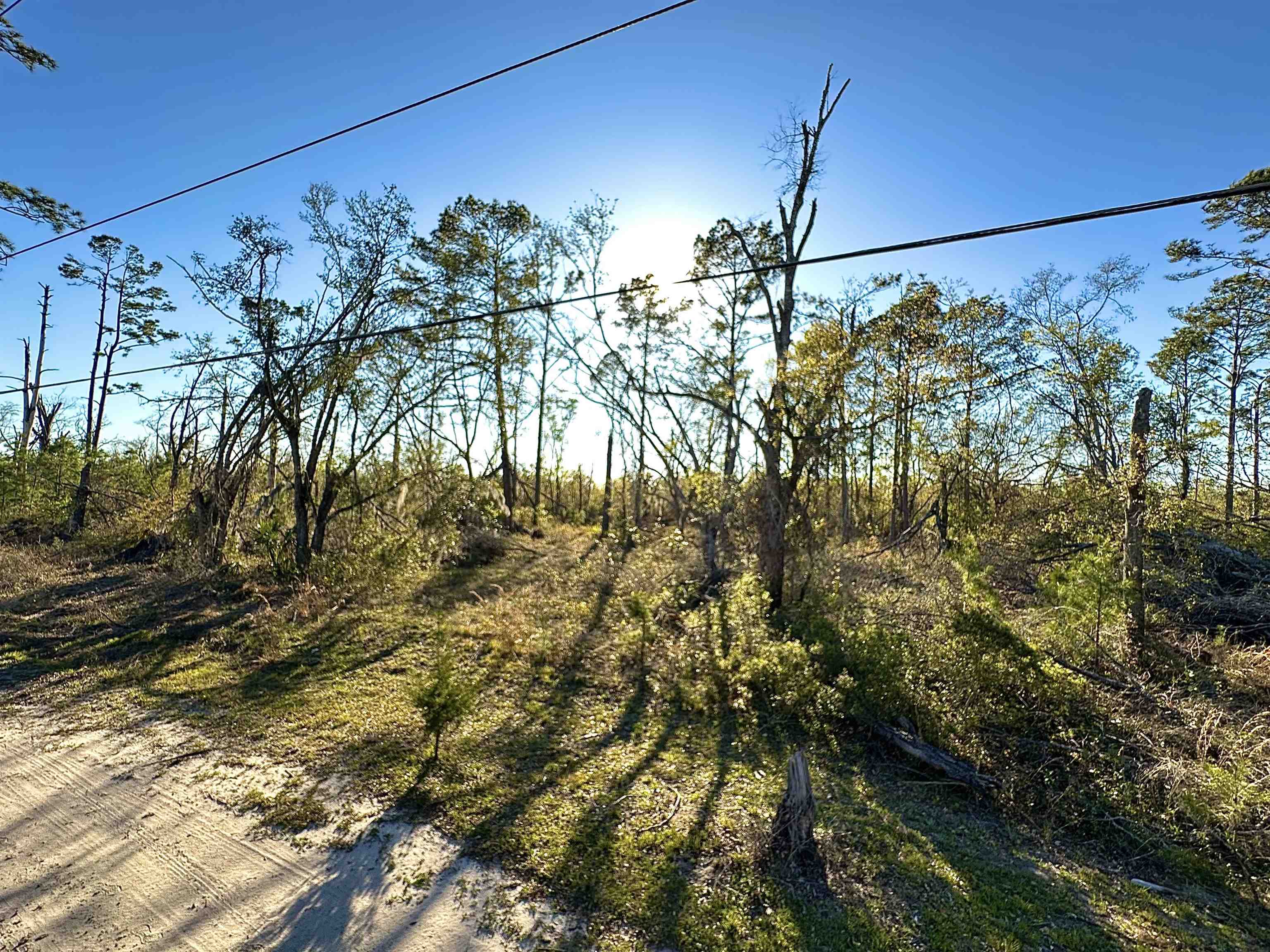 Langford Lane, Perry, Florida image 3