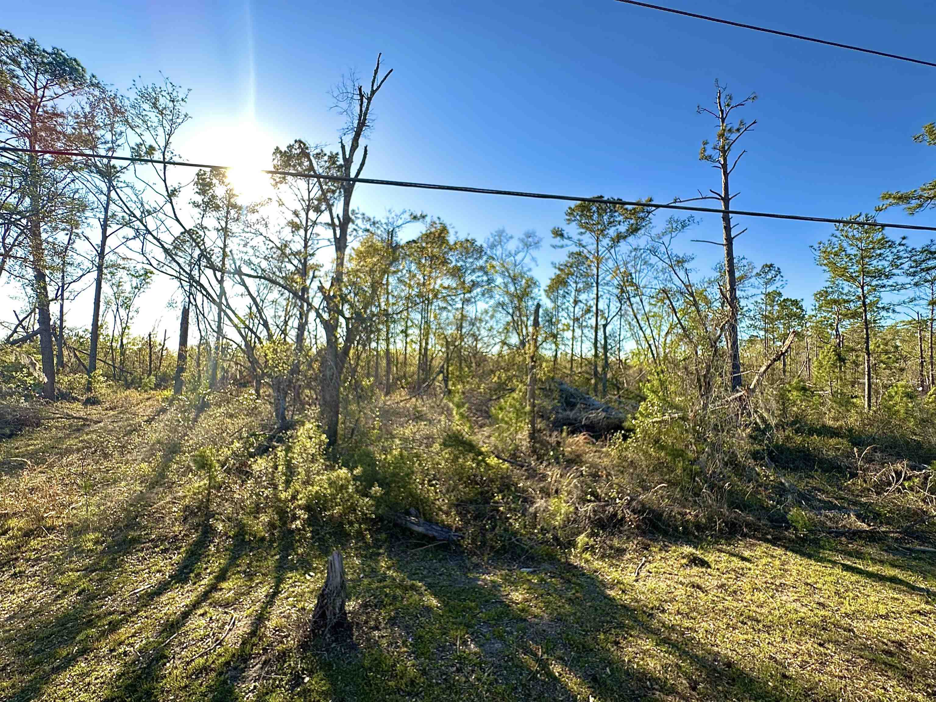 Langford Lane, Perry, Florida image 4