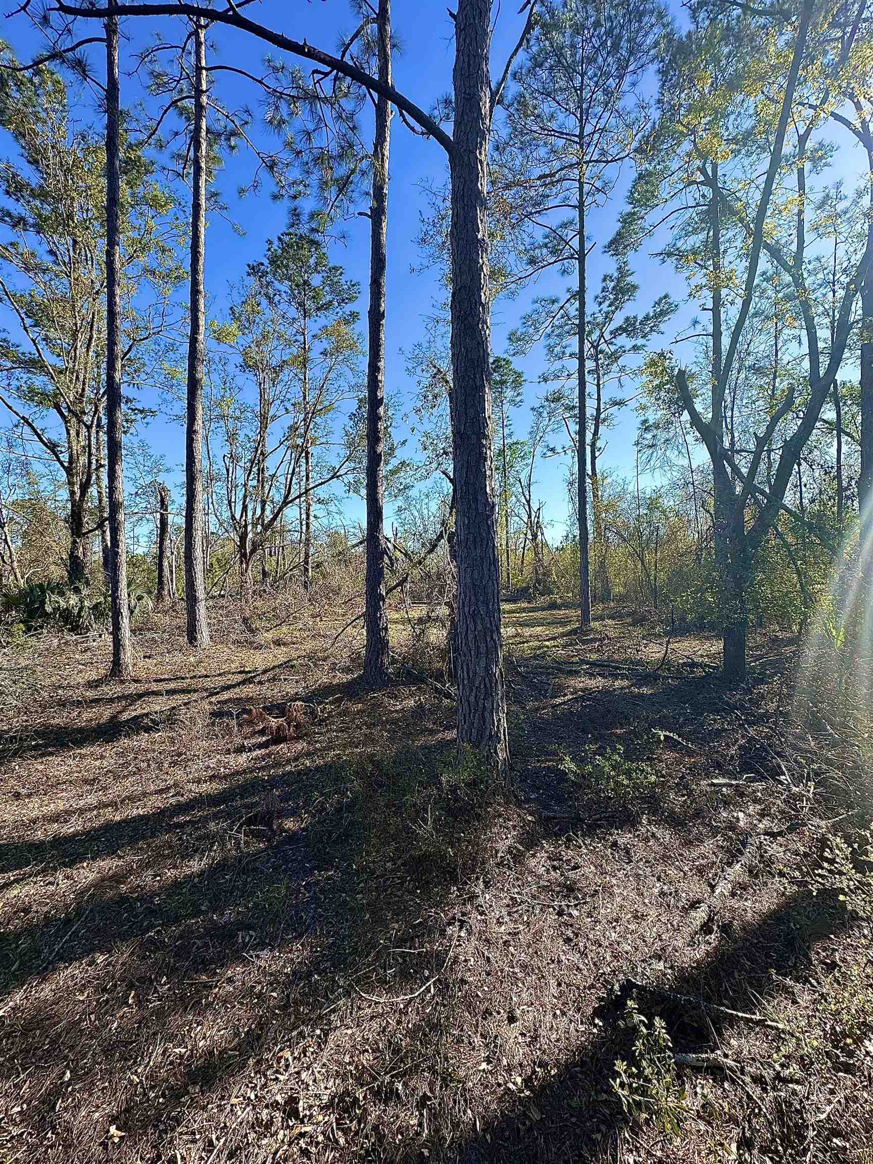 Langford Lane, Perry, Florida image 7