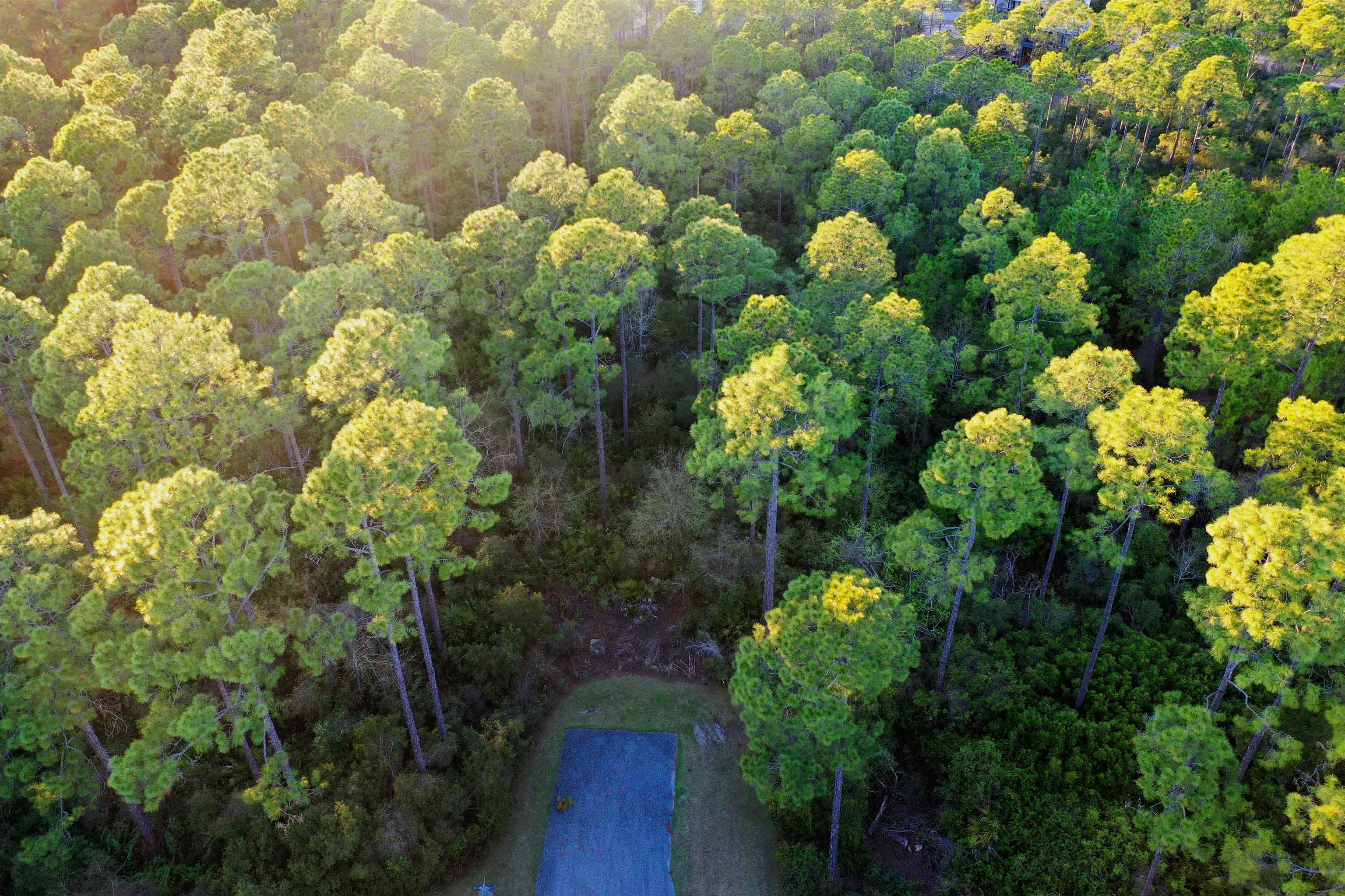 158 Turkeypoint Road #LOT 361 - EAST, St Teresa, Florida image 10