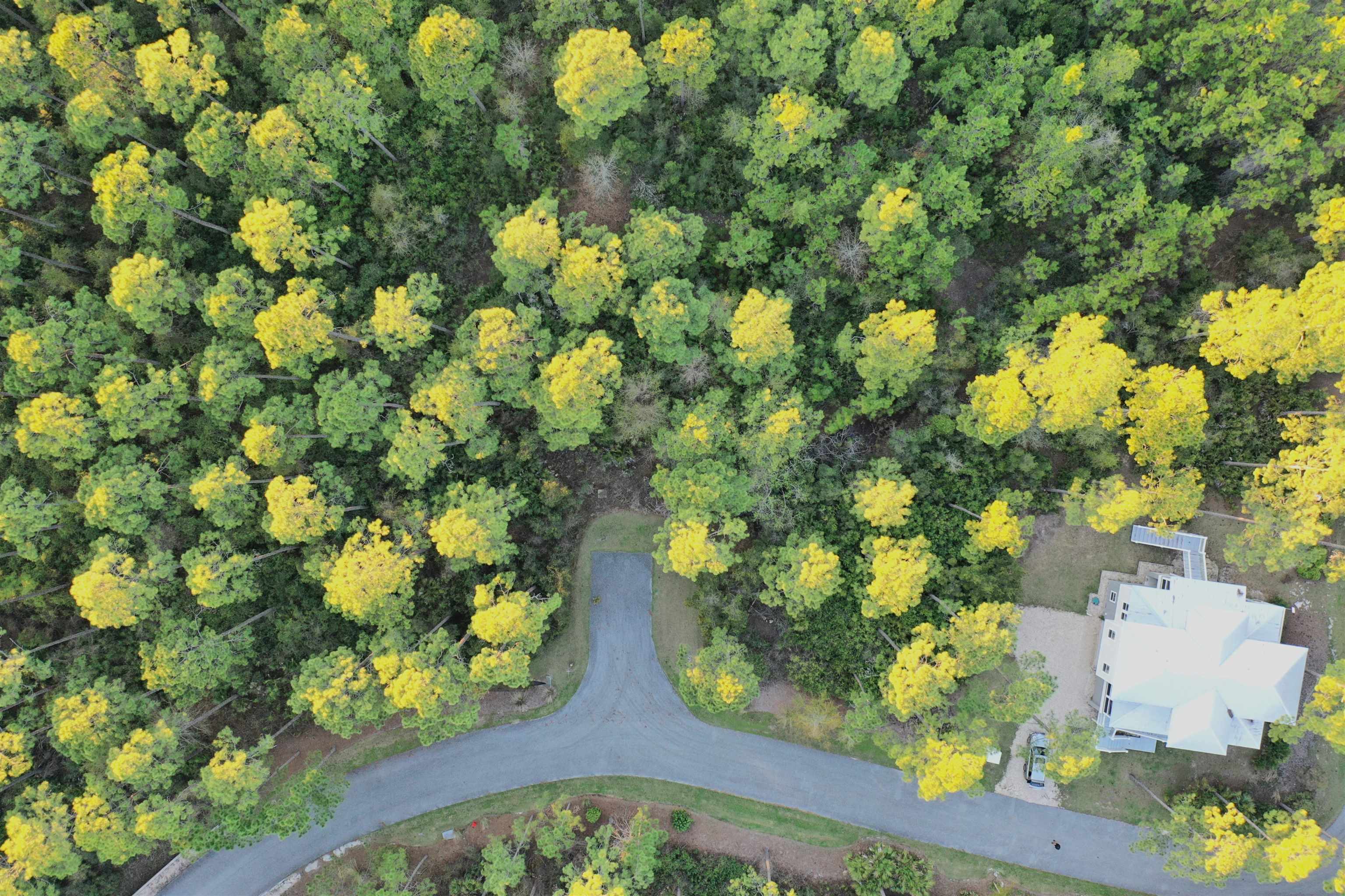 158 Turkeypoint Road #LOT 361 - EAST, St Teresa, Florida image 13