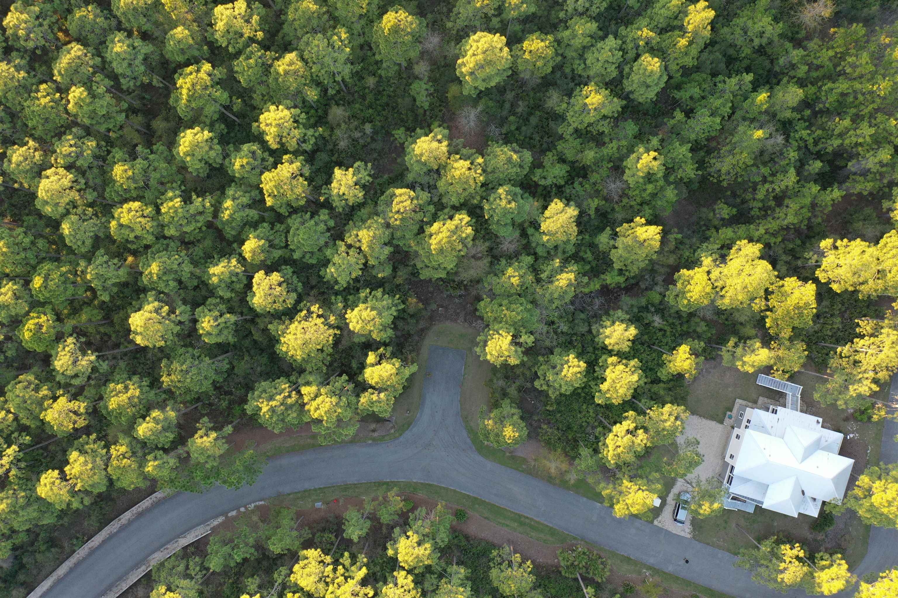 158 Turkeypoint Road #LOT 361 - EAST, St Teresa, Florida image 15