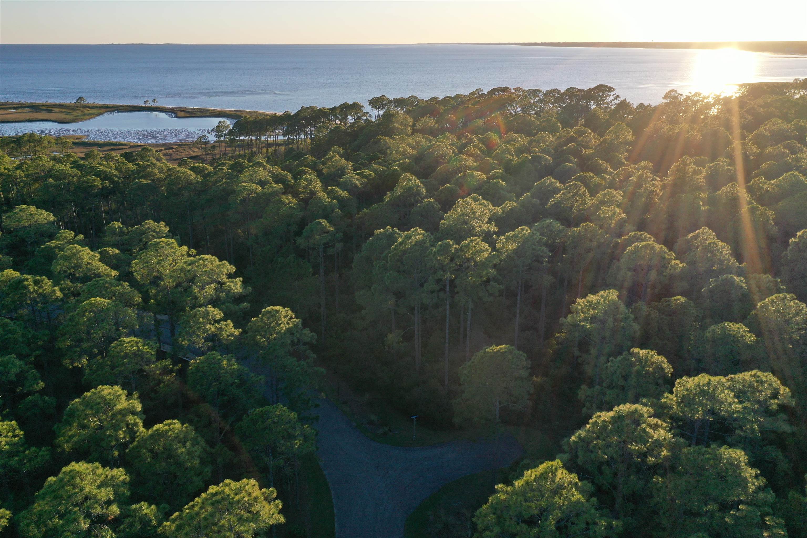 158 Turkeypoint Road #LOT 361 - EAST, St Teresa, Florida image 18