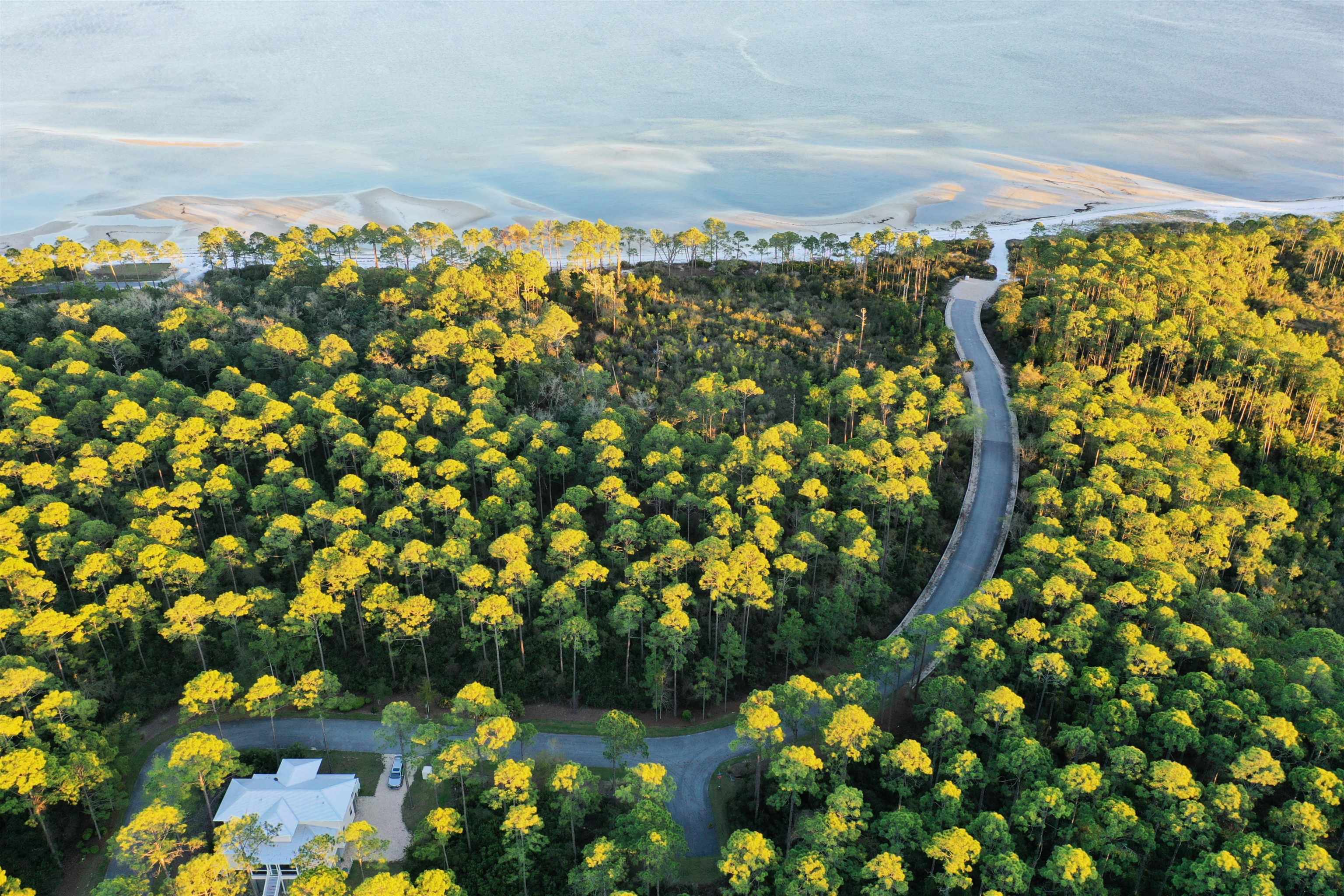 158 Turkeypoint Road #LOT 361 - EAST, St Teresa, Florida image 34