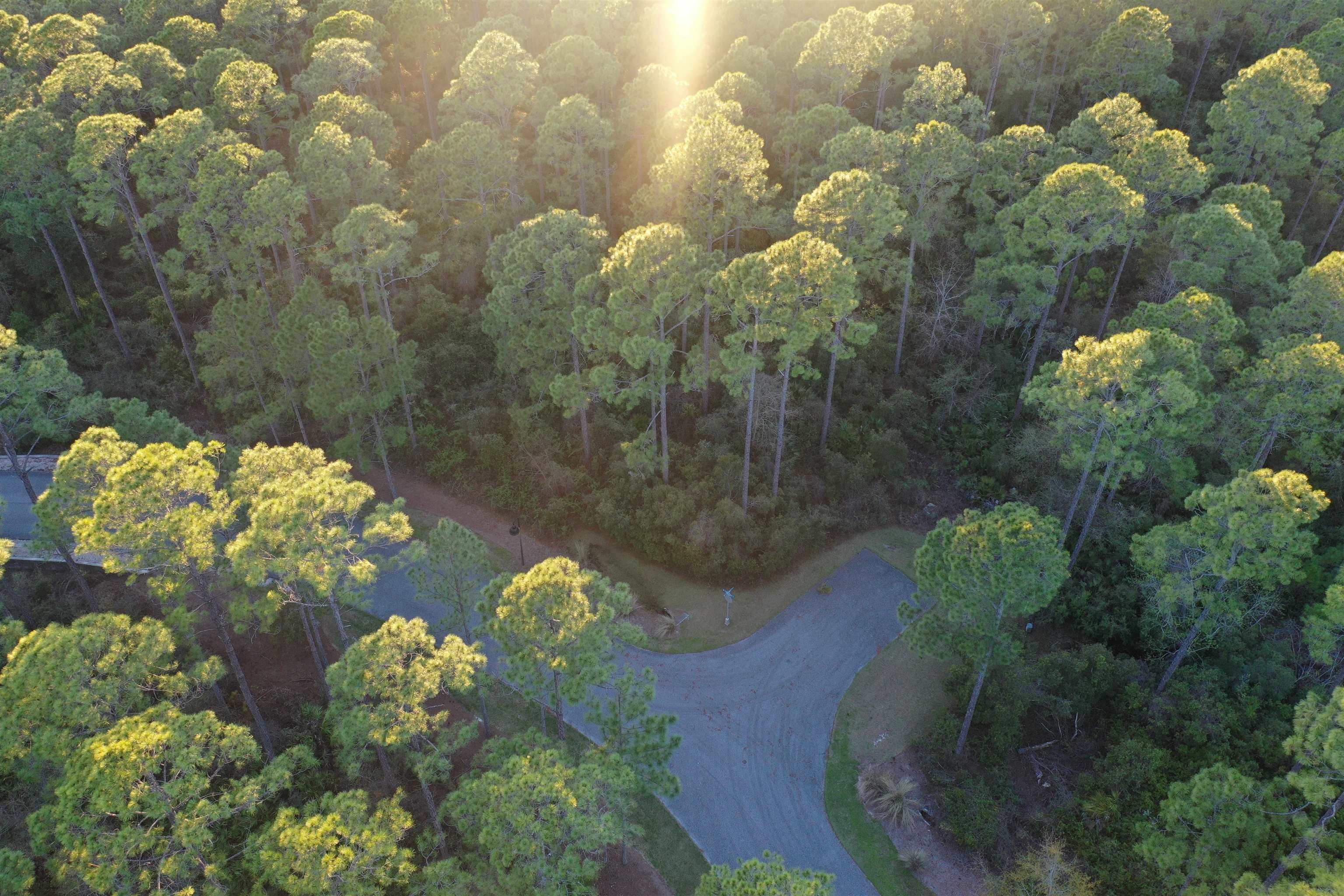 158 Turkeypoint Road #LOT 361 - EAST, St Teresa, Florida image 36