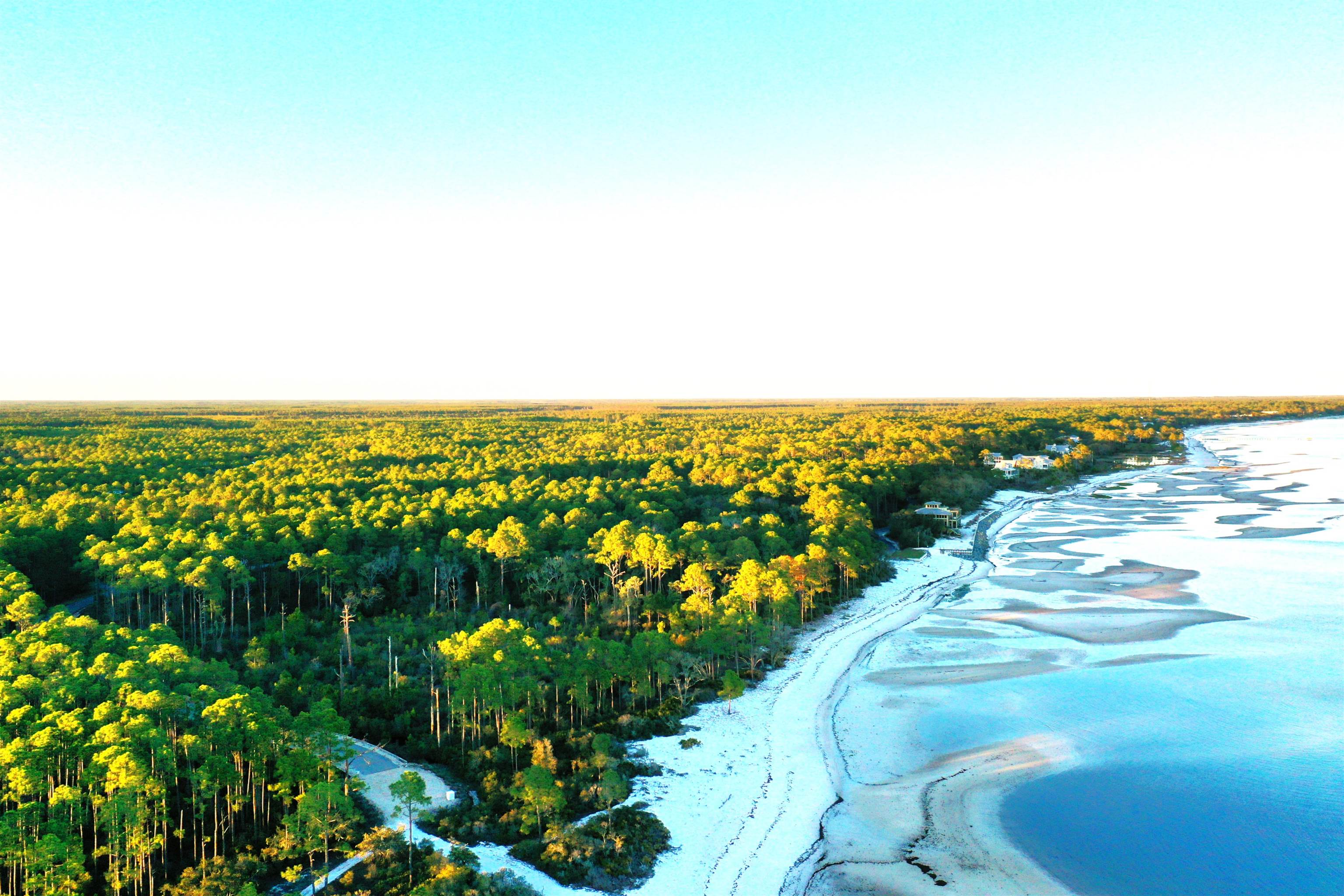 158 Turkeypoint Road #LOT 361 - EAST, St Teresa, Florida image 39