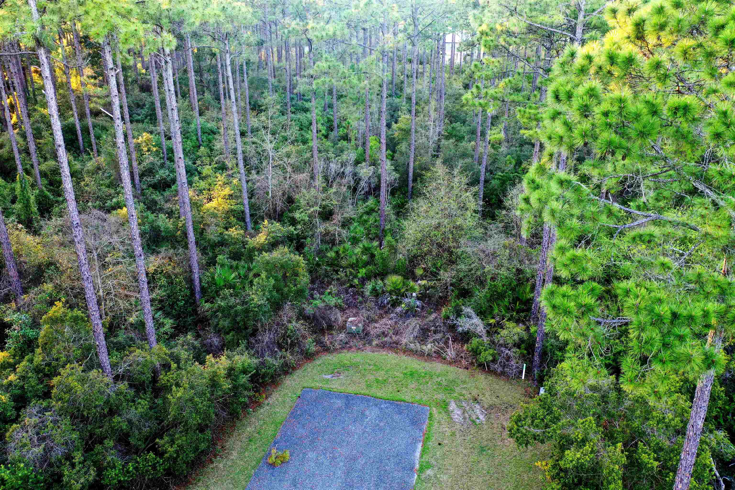 158 Turkeypoint Road #LOT 361 - EAST, St Teresa, Florida image 5