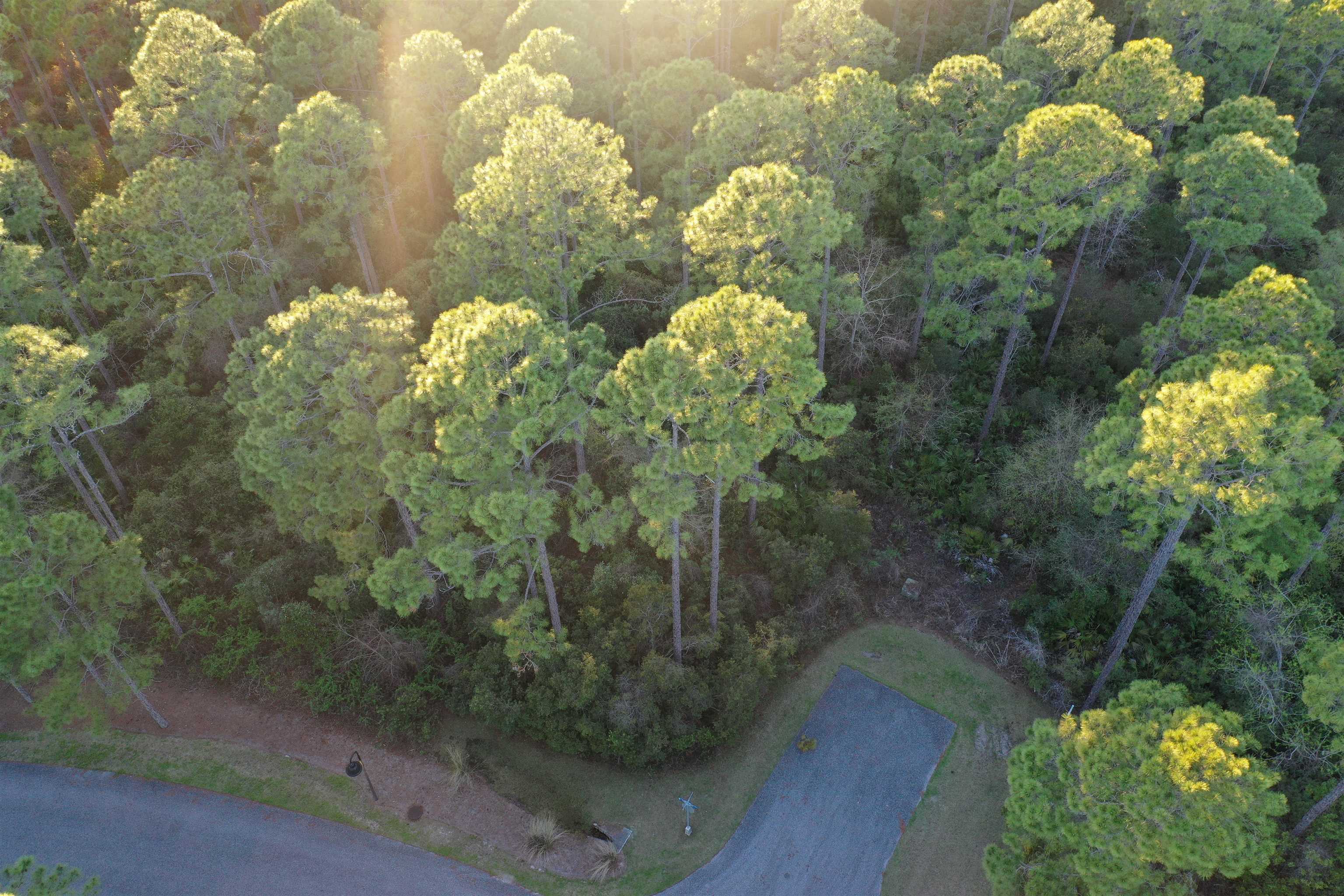 158 Turkeypoint Road #LOT 361 - EAST, St Teresa, Florida image 6
