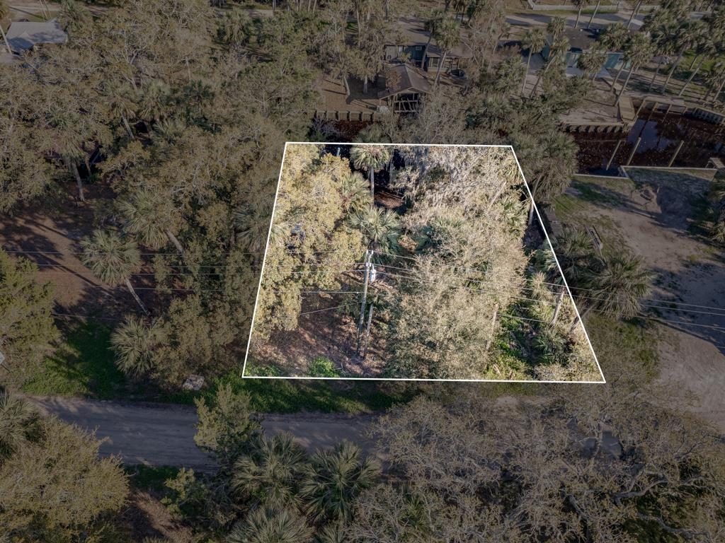 XX Ben Willis Road, Crawfordville, Florida image 11