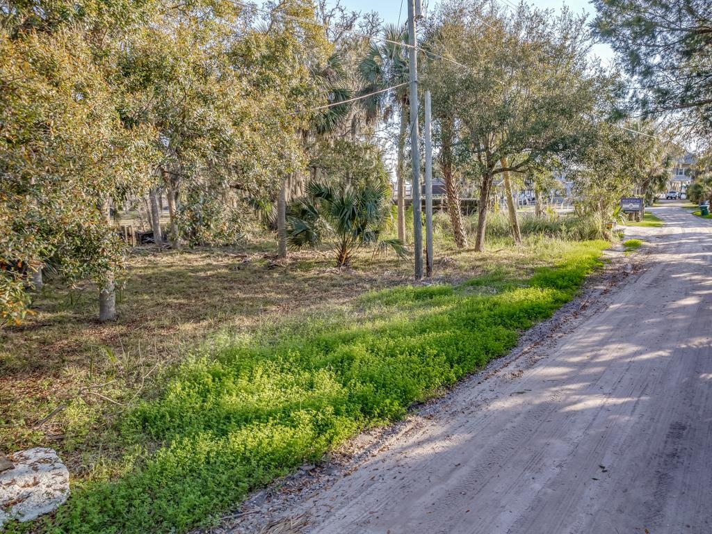 XX Ben Willis Road, Crawfordville, Florida image 20