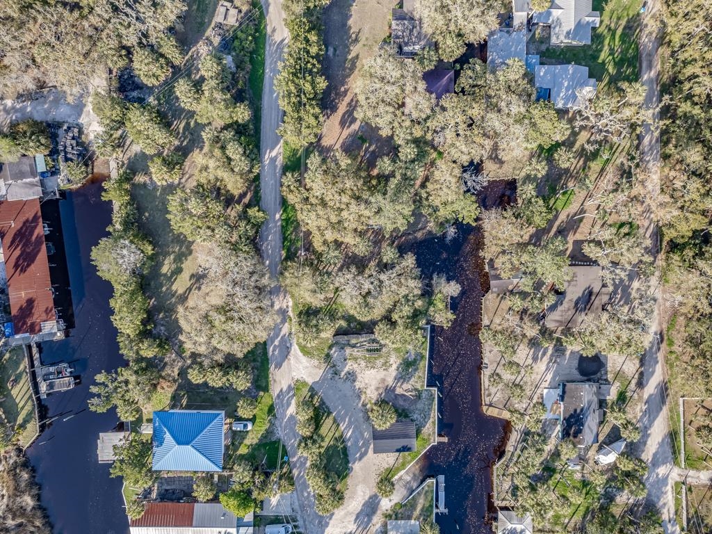 XX Ben Willis Road, Crawfordville, Florida image 4