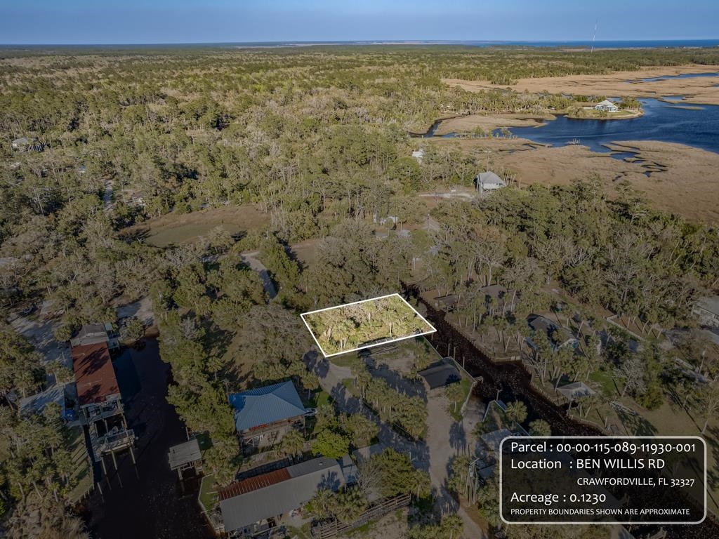 XX Ben Willis Road, Crawfordville, Florida image 7