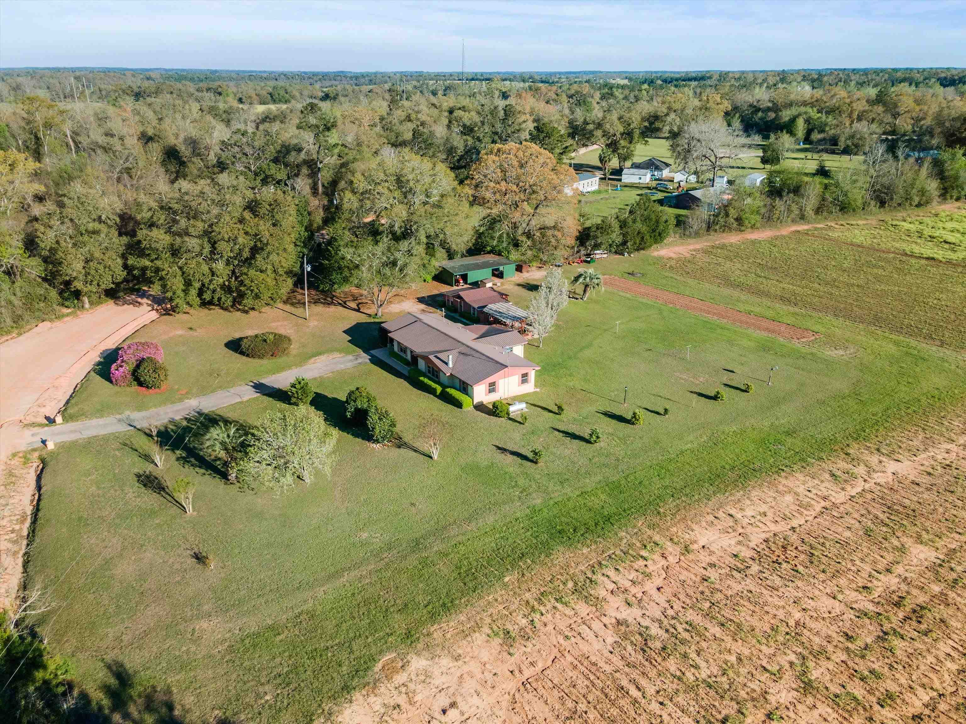 1671 Sand Basin Road, Grand Ridge, Florida image 39