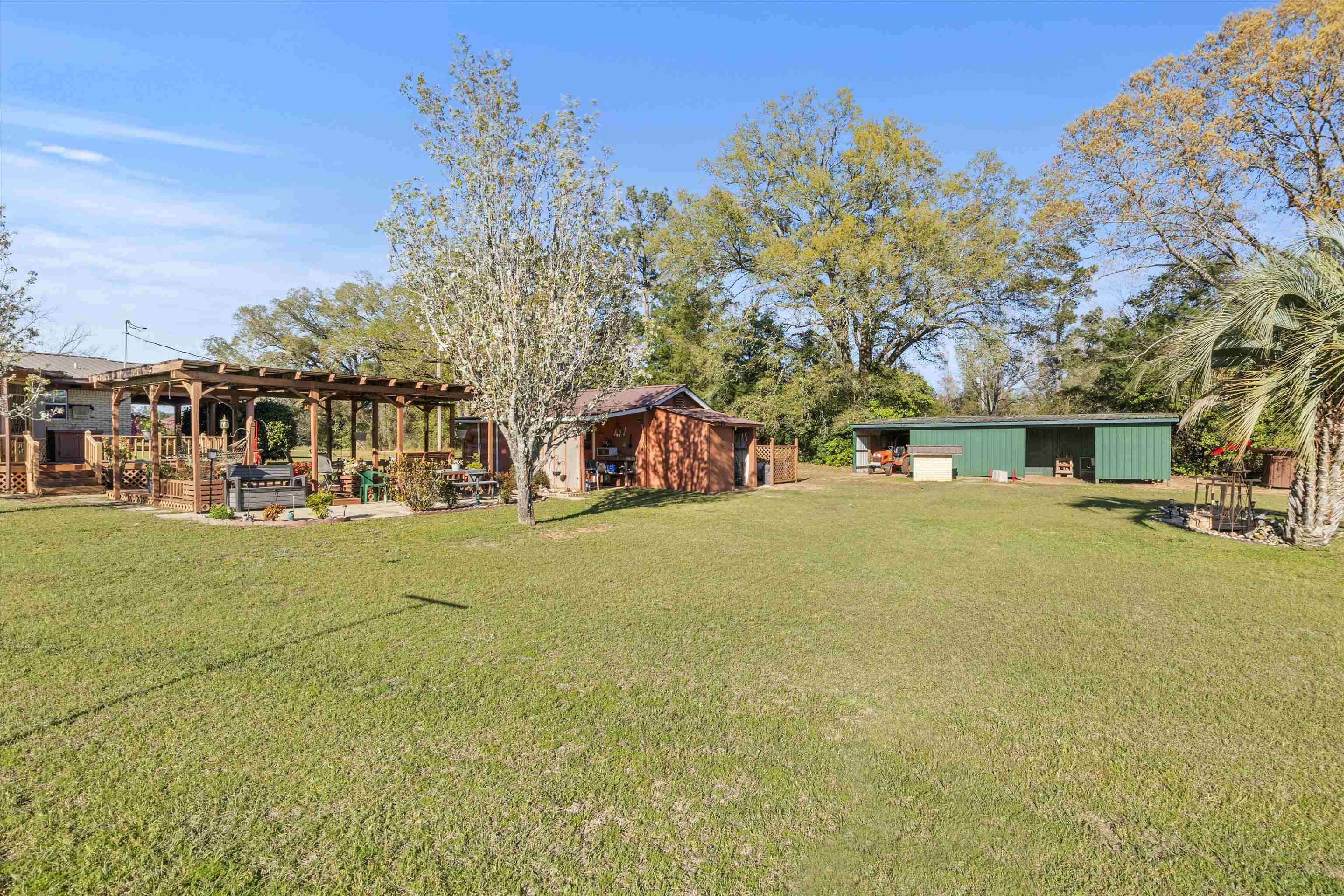 1671 Sand Basin Road, Grand Ridge, Florida image 6