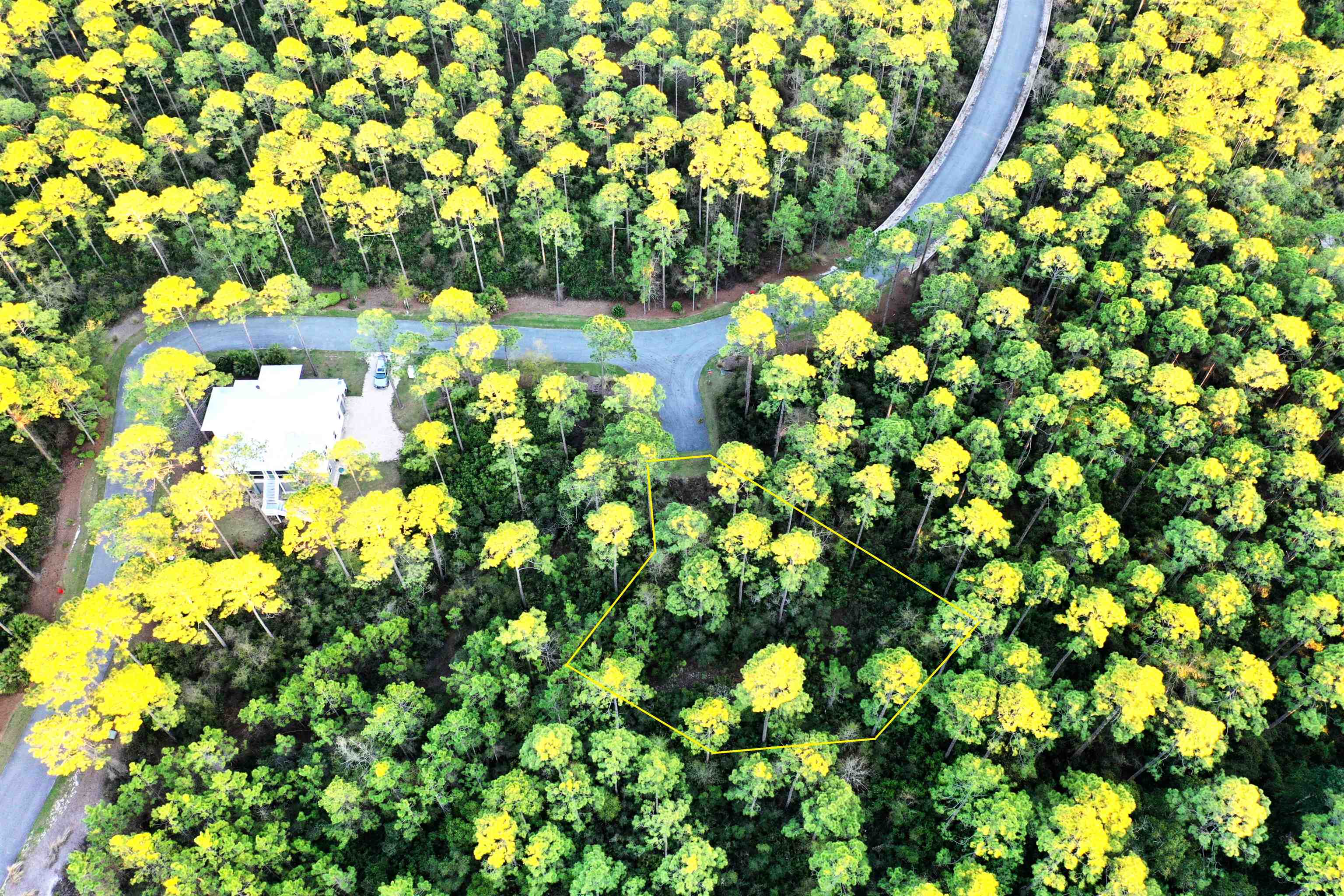 161 Bunk House Drive #LOT 362- EAST, St Teresa, Florida image 26