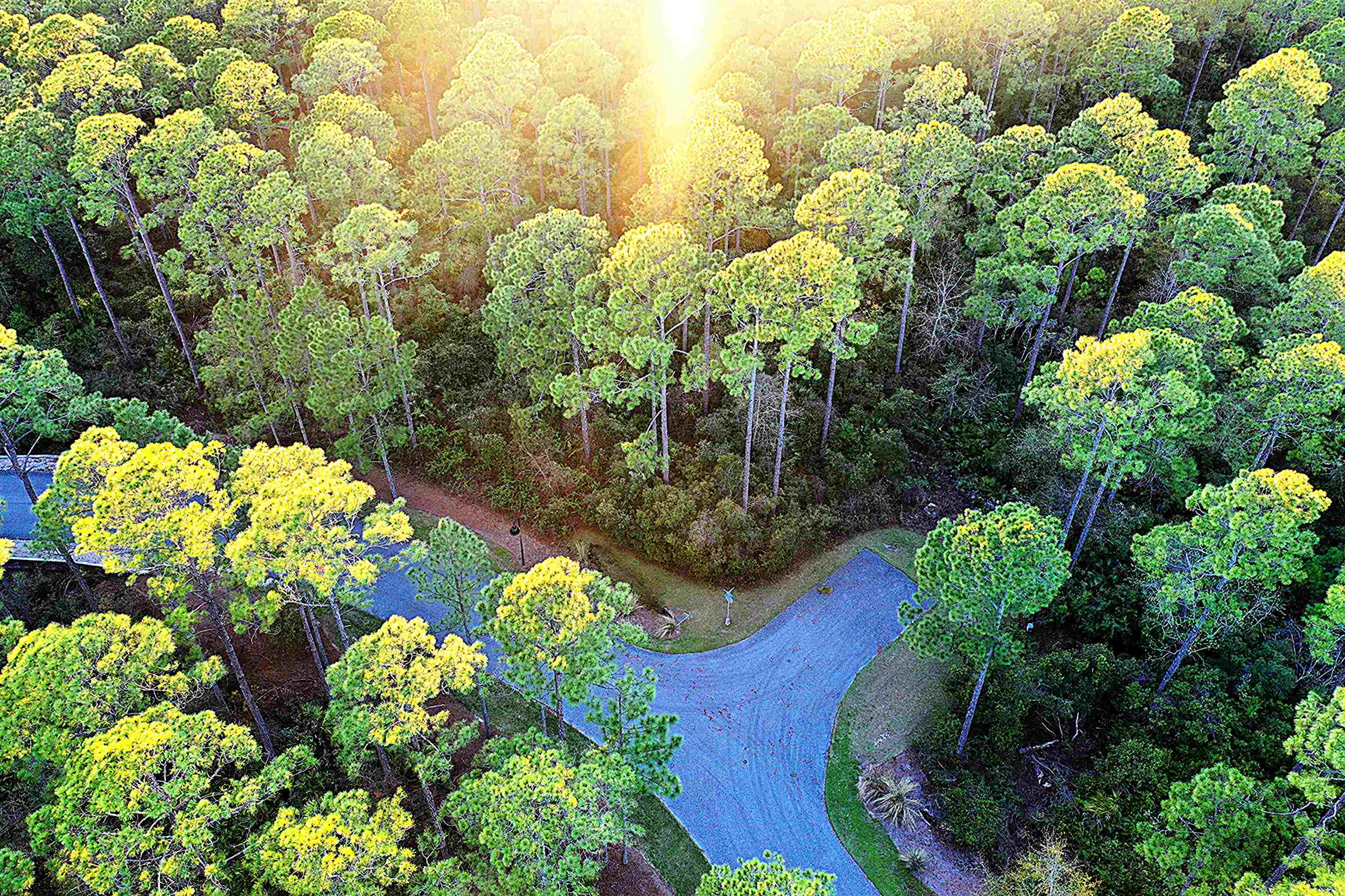 161 Bunk House Drive #LOT 362- EAST, St Teresa, Florida image 29