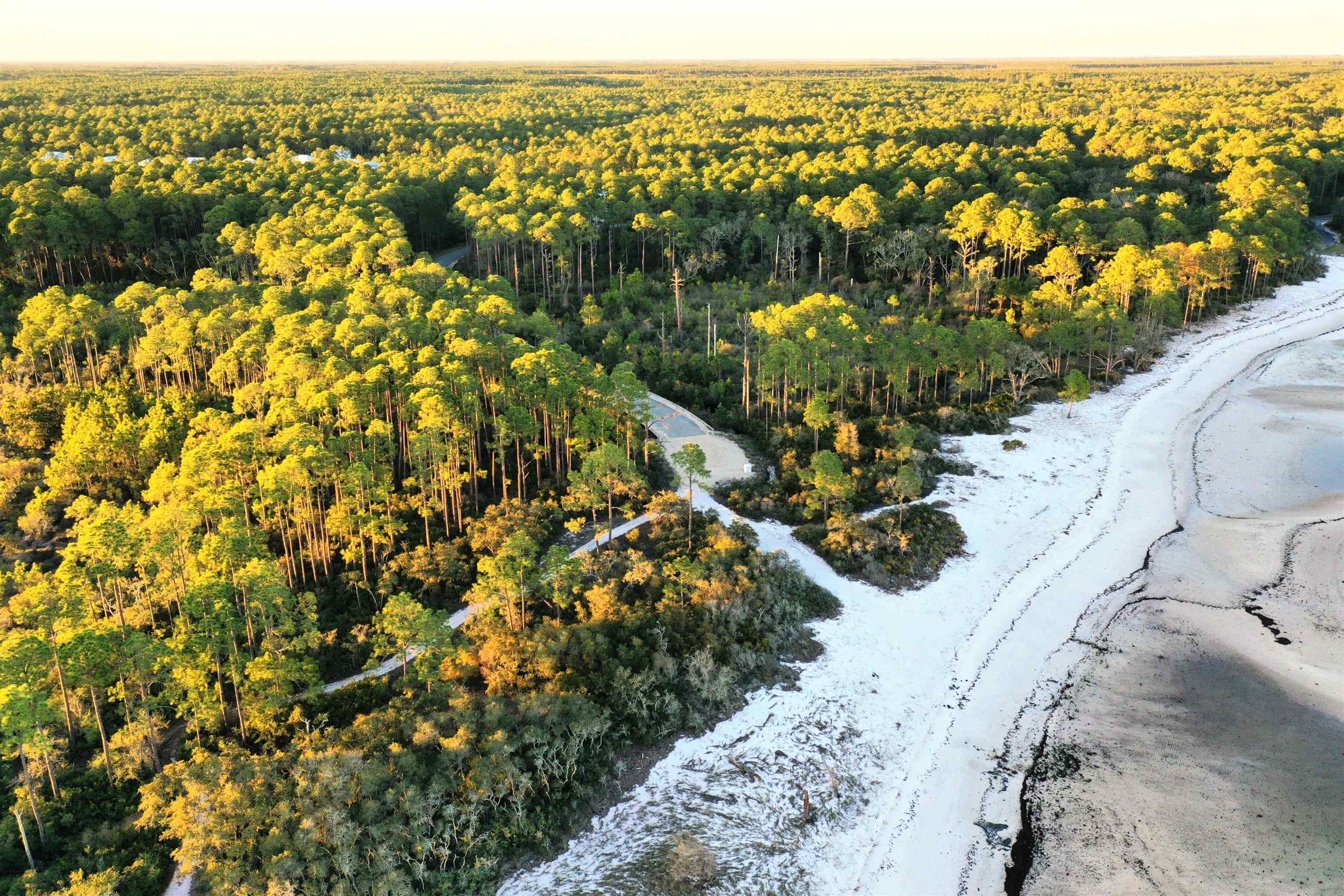 161 Bunk House Drive #LOT 362- EAST, St Teresa, Florida image 32