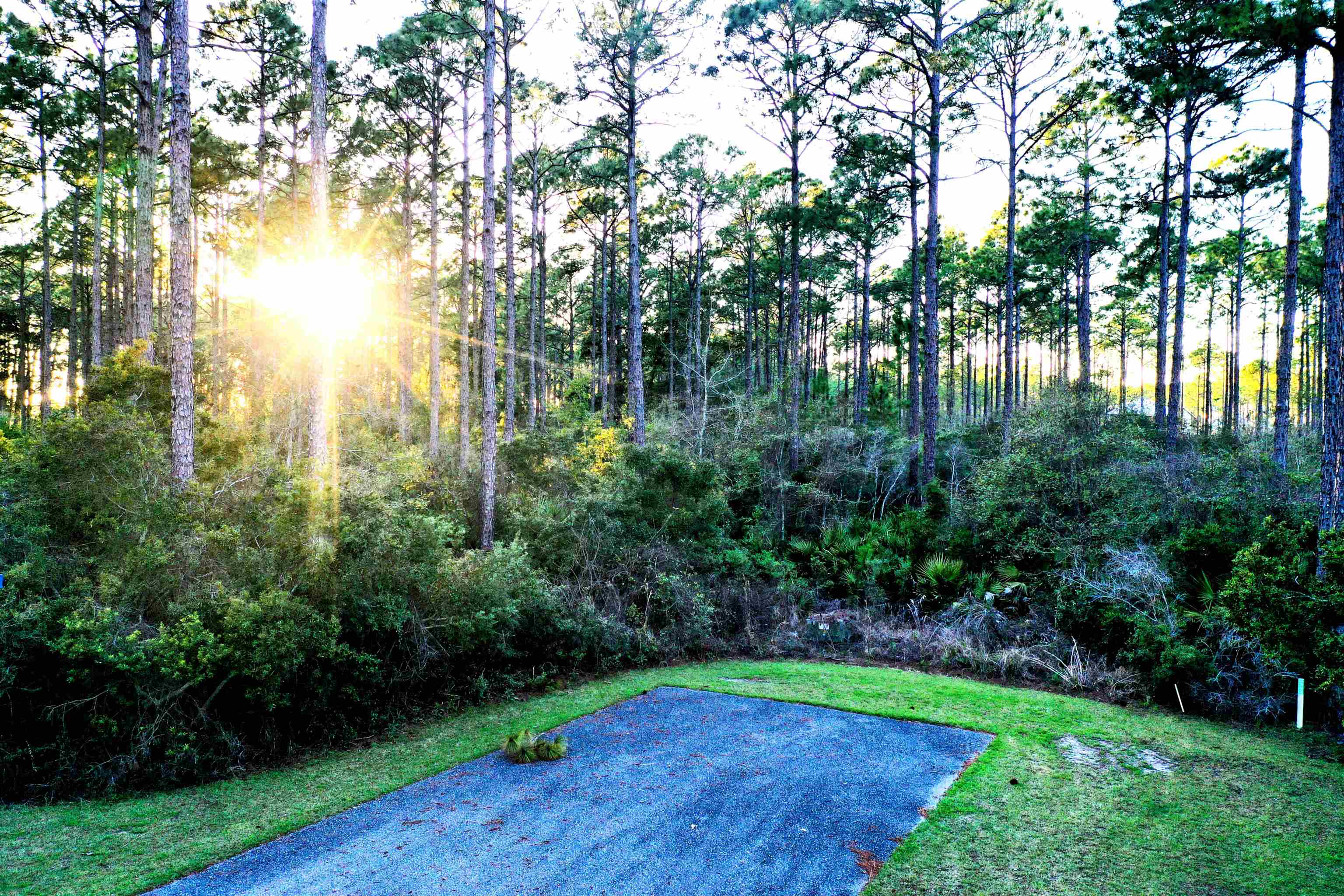 161 Bunk House Drive #LOT 362- EAST, St Teresa, Florida image 4