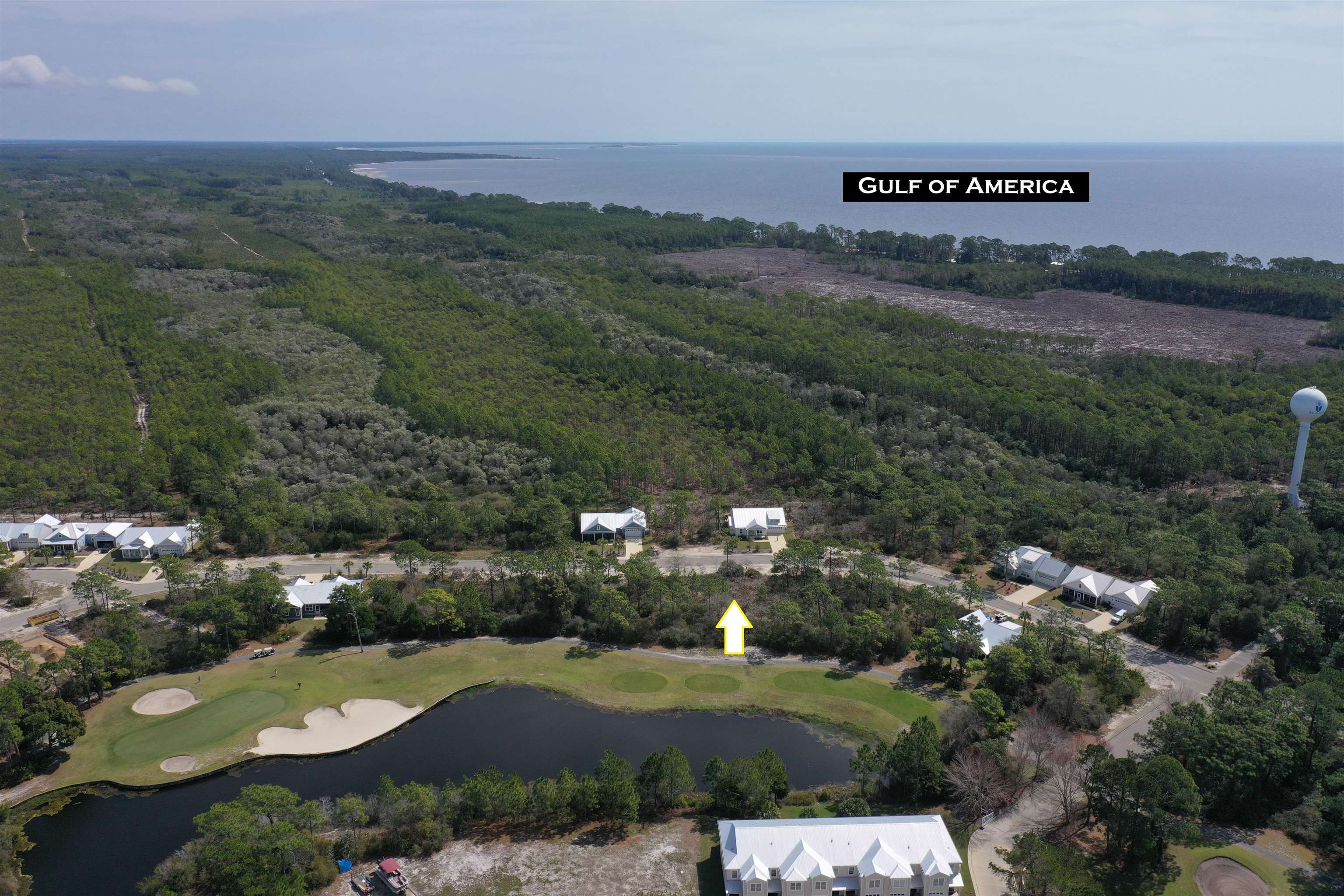 309 Royal Tern Way, Carrabelle, Florida image 1