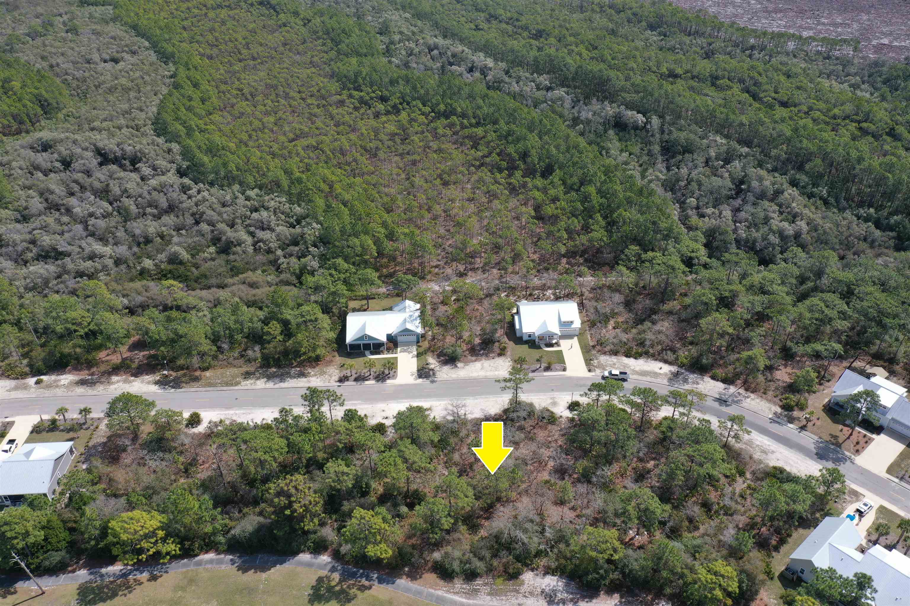 309 Royal Tern Way, Carrabelle, Florida image 24