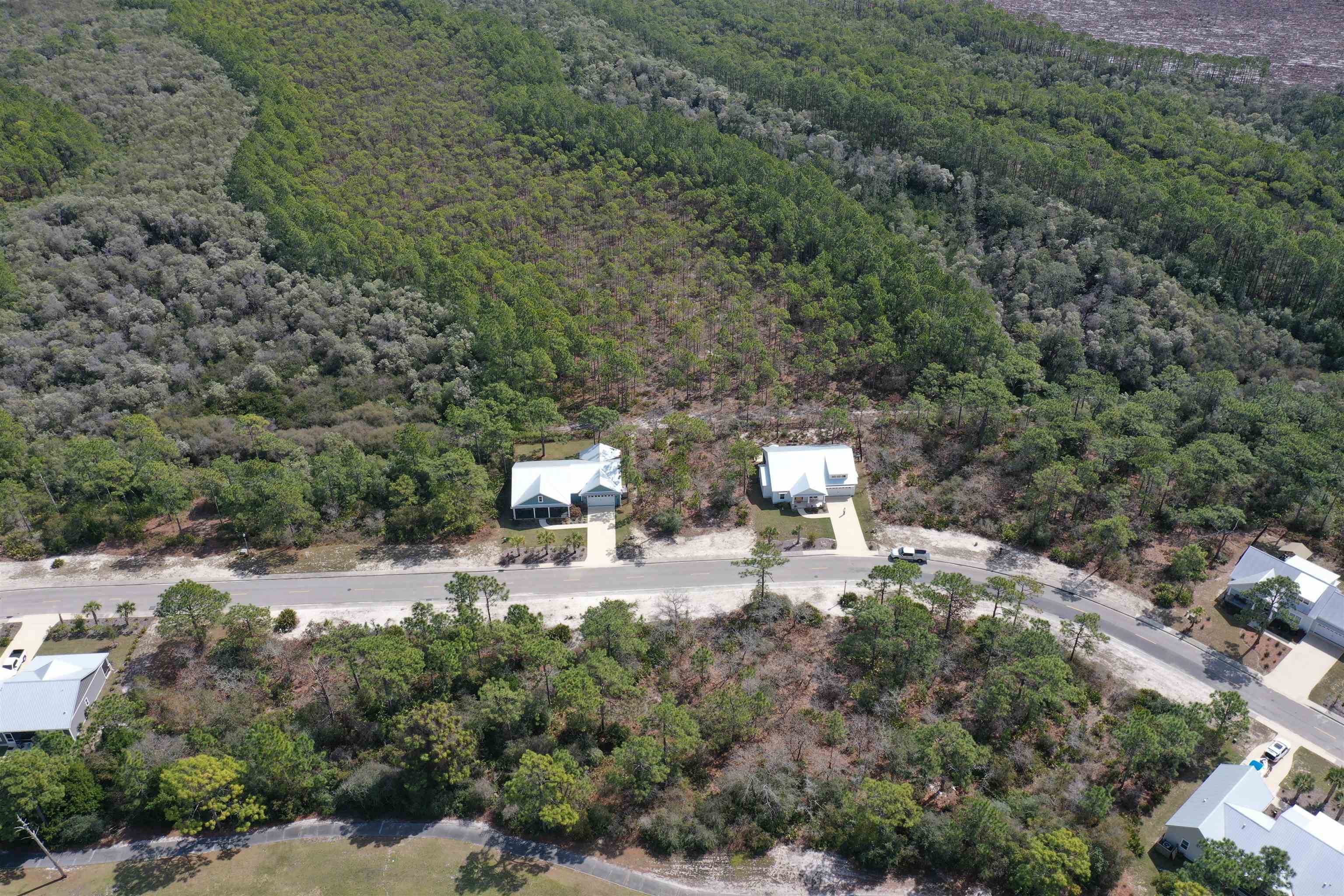 309 Royal Tern Way, Carrabelle, Florida image 25
