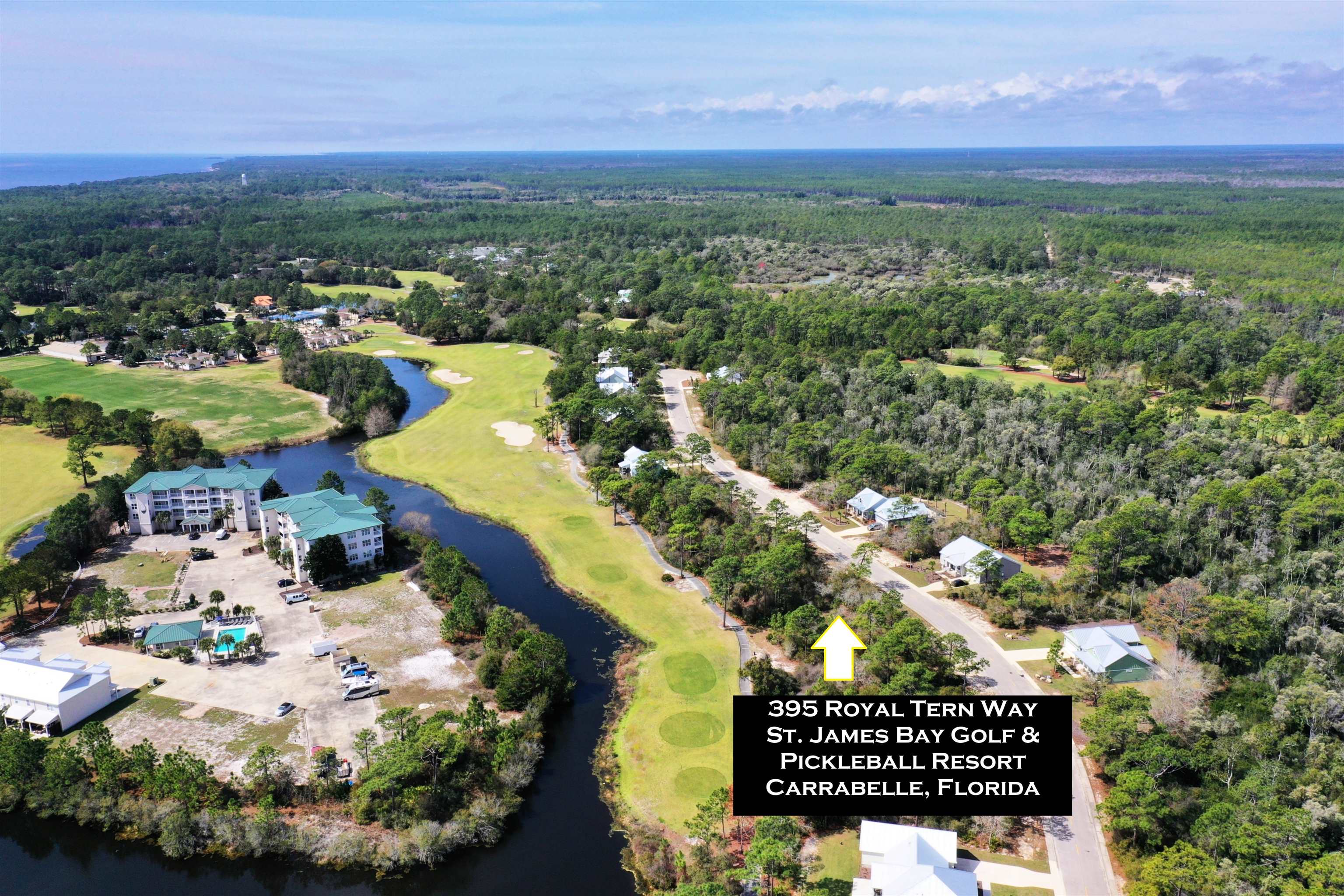 395 Royal Tern Way, Carrabelle, Florida image 1