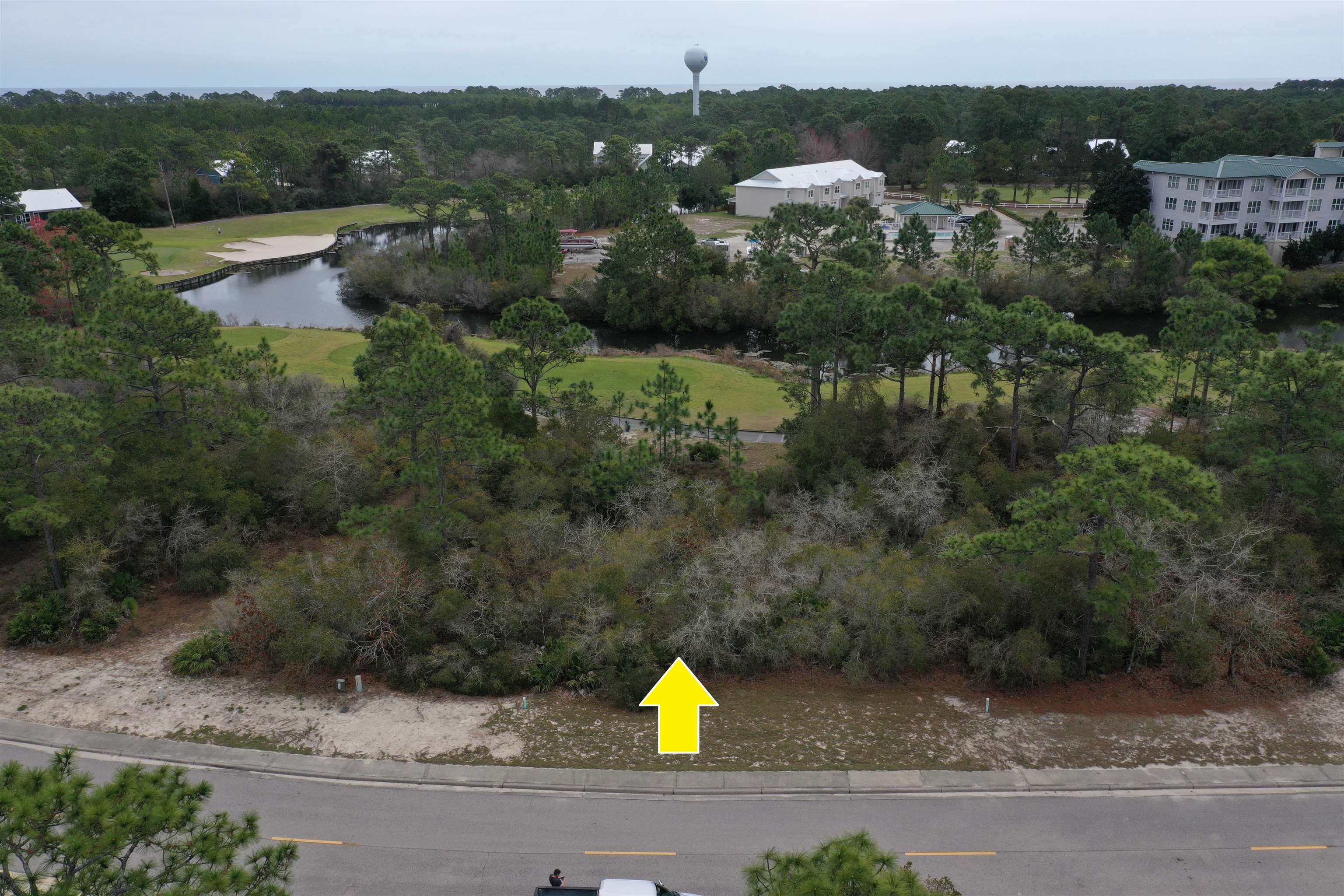 395 Royal Tern Way, Carrabelle, Florida image 13