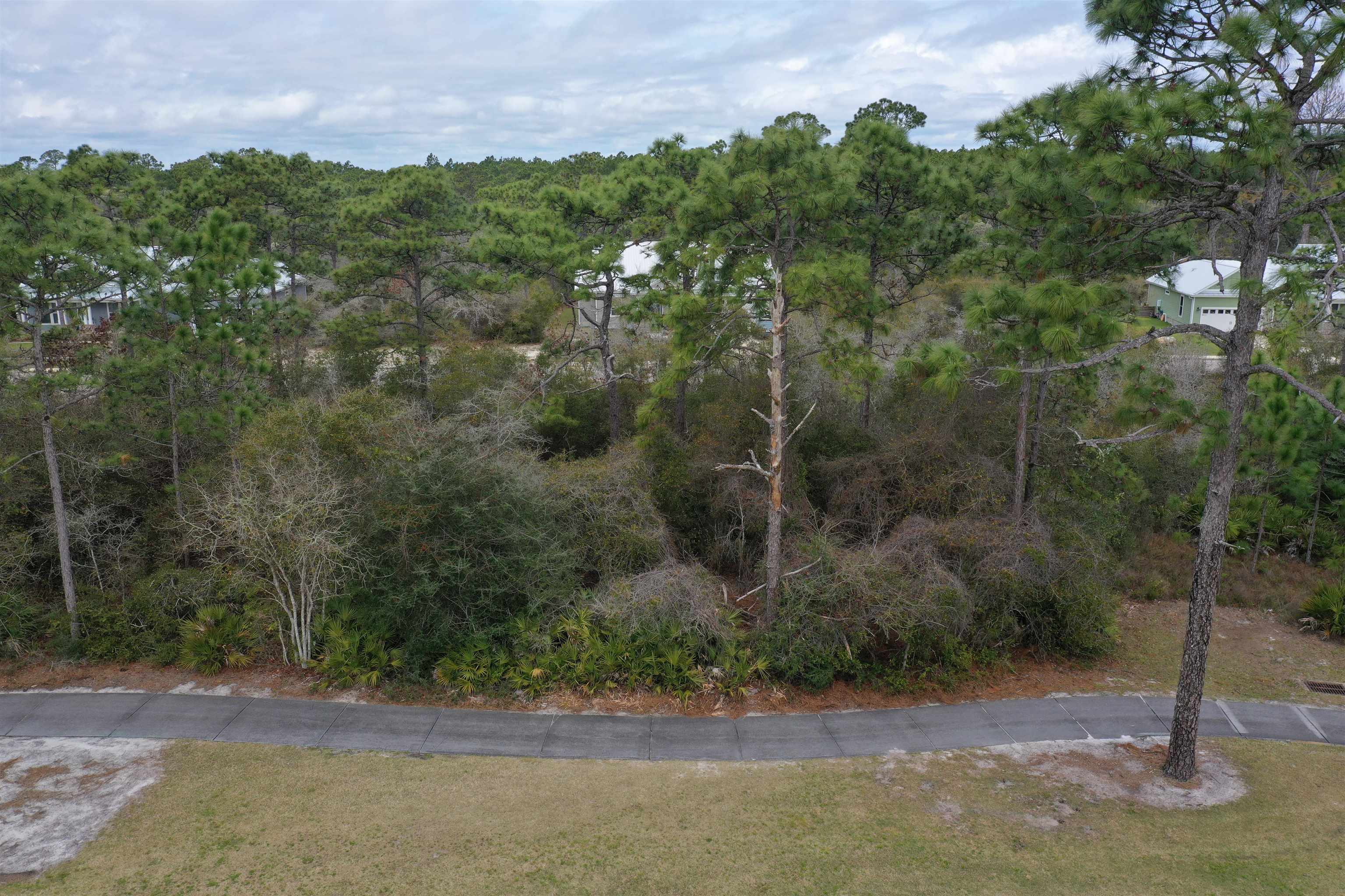 395 Royal Tern Way, Carrabelle, Florida image 24