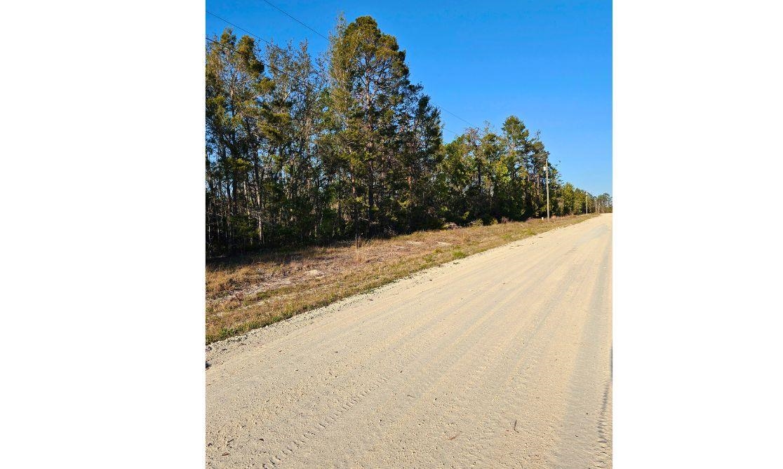 TBD N Whitetail Drive, Perry, Florida image 1
