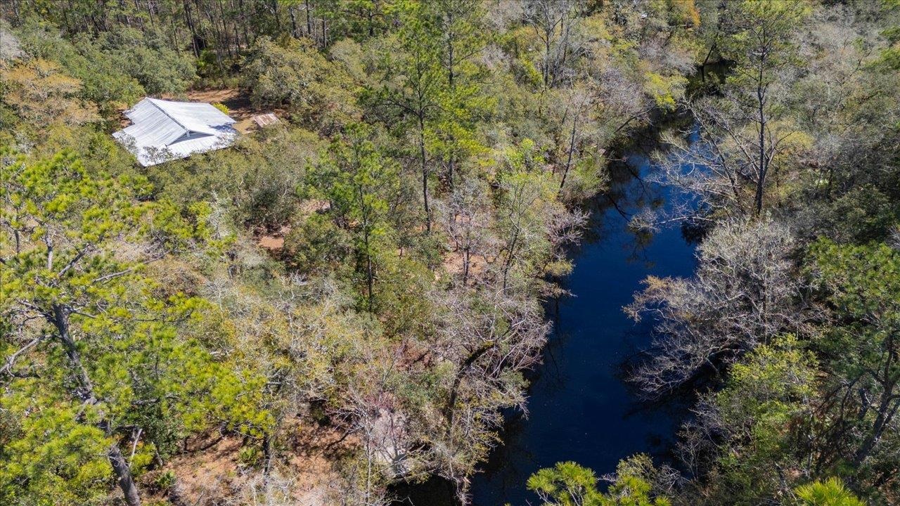 30 Lizard Lane, Sopchoppy, Florida image 3