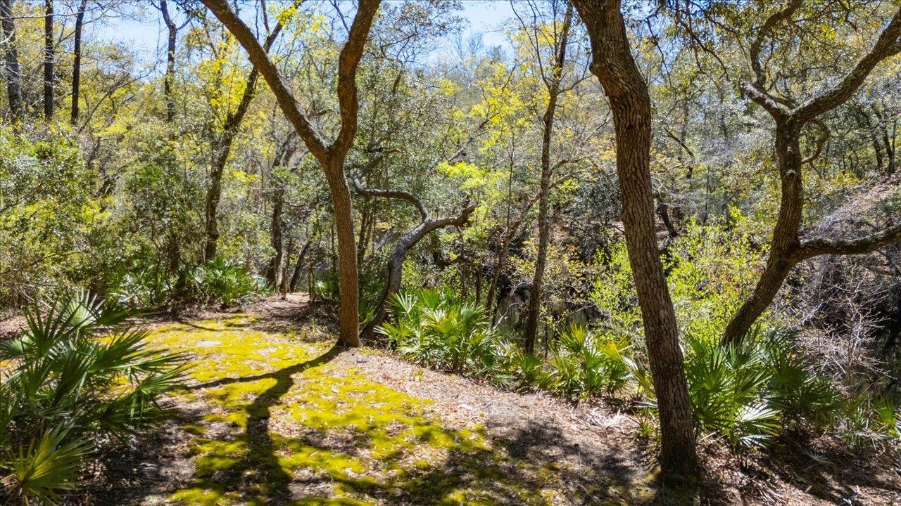 30 Lizard Lane, Sopchoppy, Florida image 33