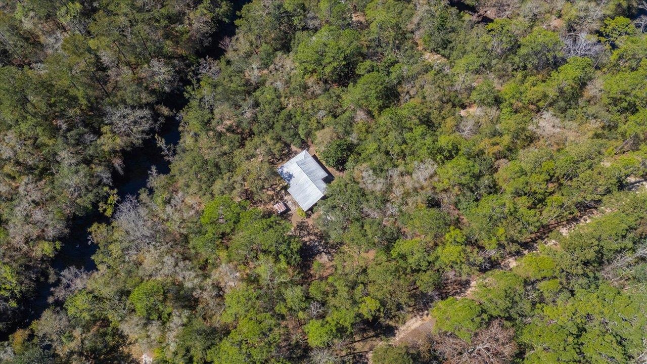 30 Lizard Lane, Sopchoppy, Florida image 36