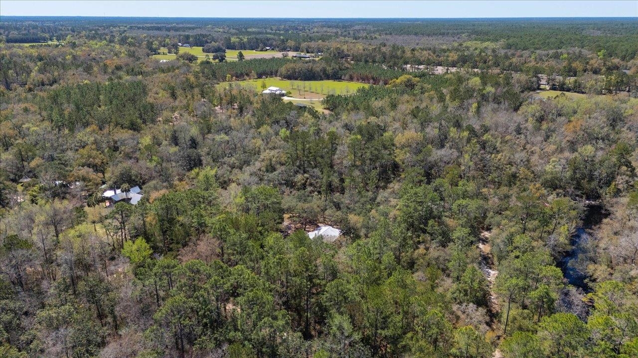 30 Lizard Lane, Sopchoppy, Florida image 38