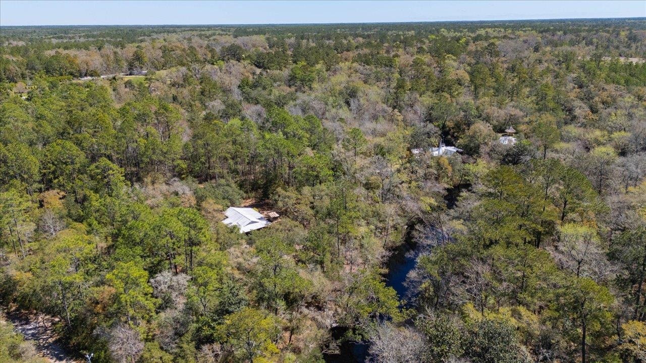 30 Lizard Lane, Sopchoppy, Florida image 41