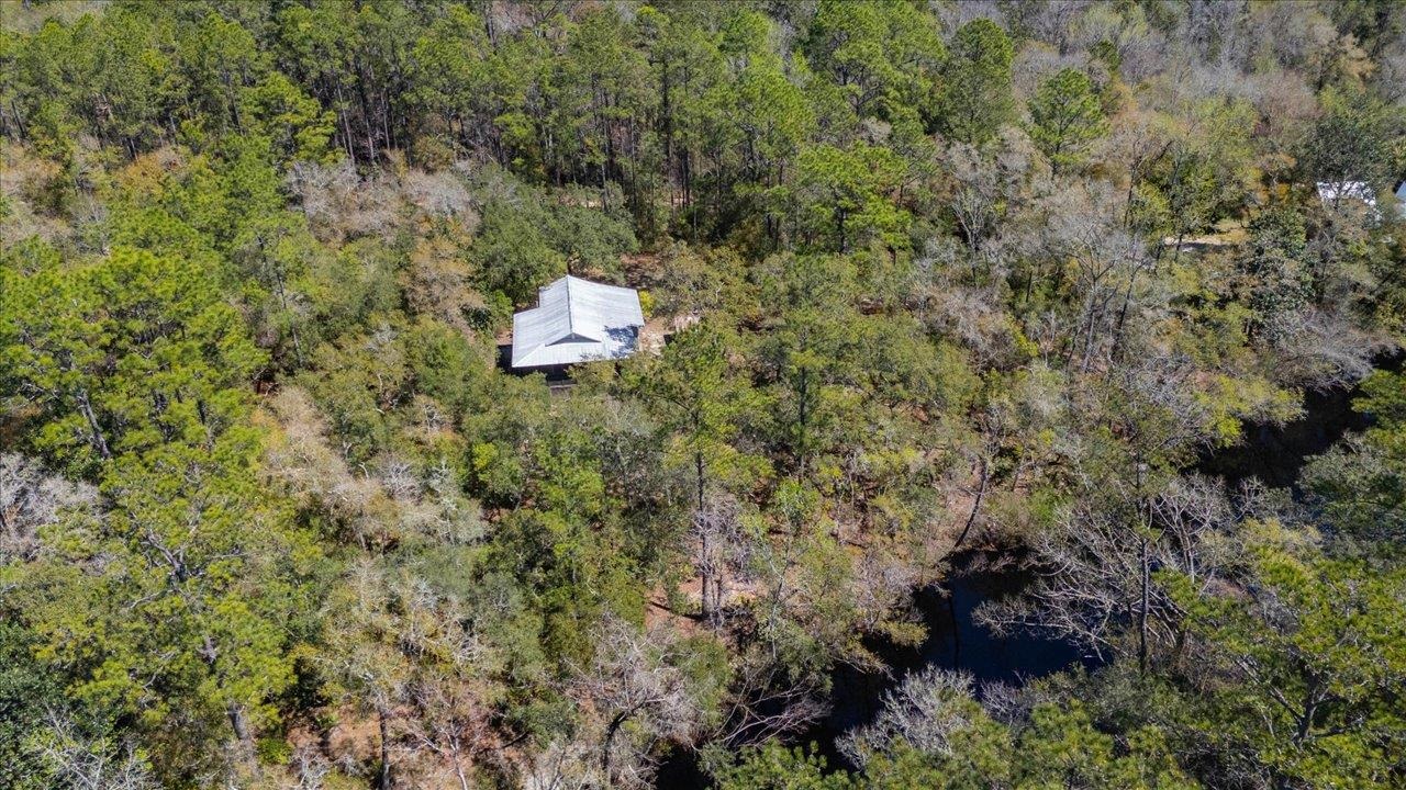 30 Lizard Lane, Sopchoppy, Florida image 5