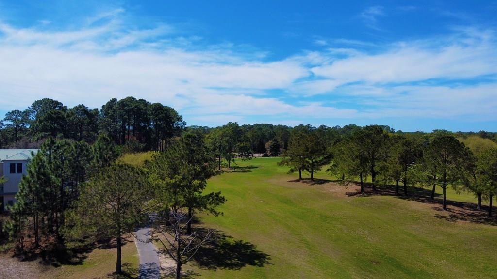 269 Royal Tern Way, Carrabelle, Florida image 4