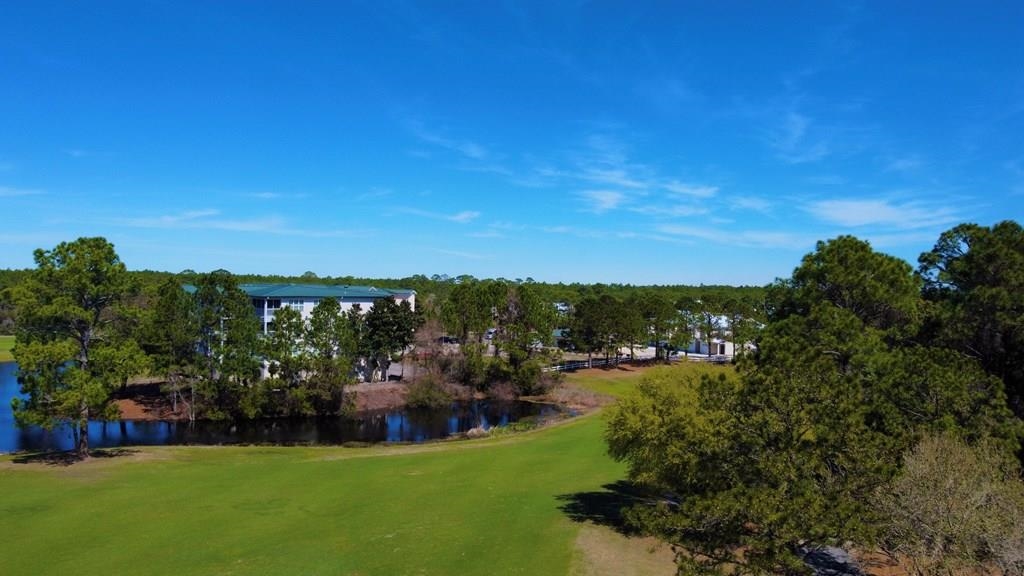 269 Royal Tern Way, Carrabelle, Florida image 6
