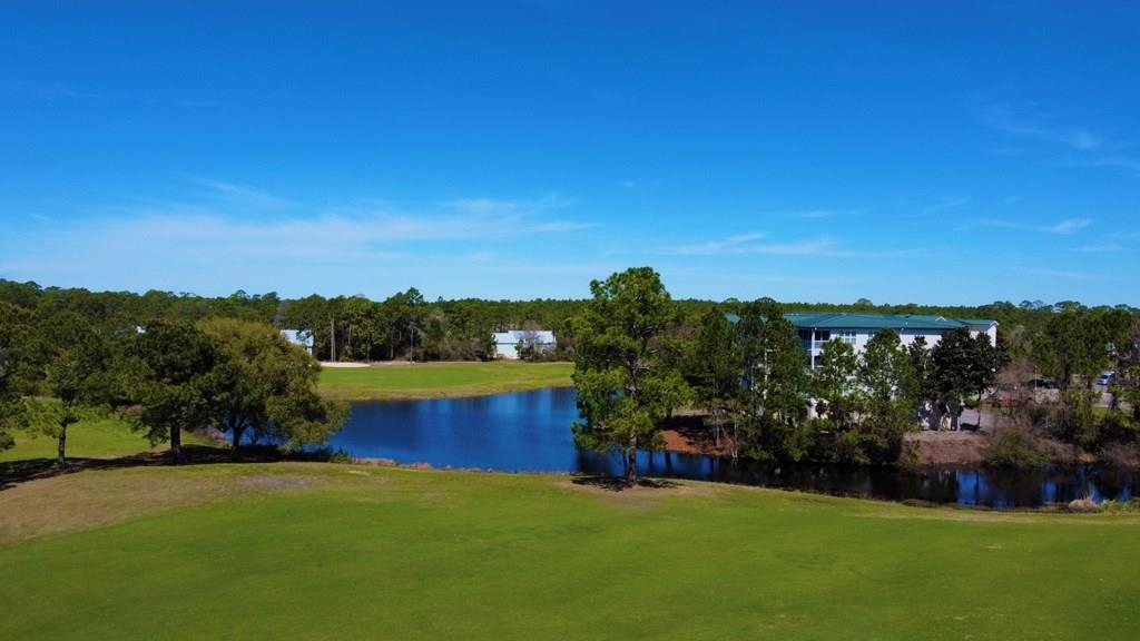 269 Royal Tern Way, Carrabelle, Florida image 7
