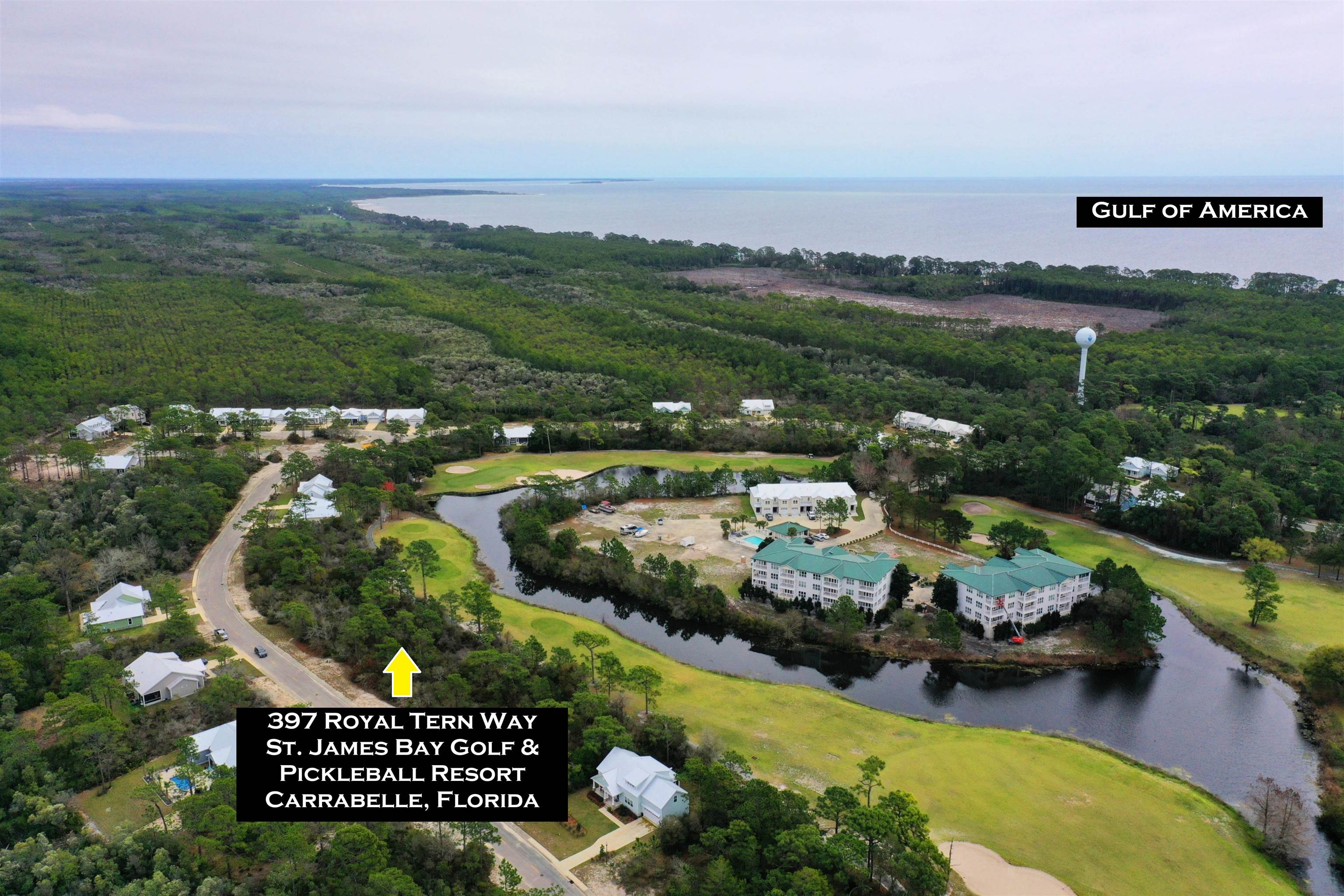 397 Royal Tern Way, Carrabelle, Florida image 1