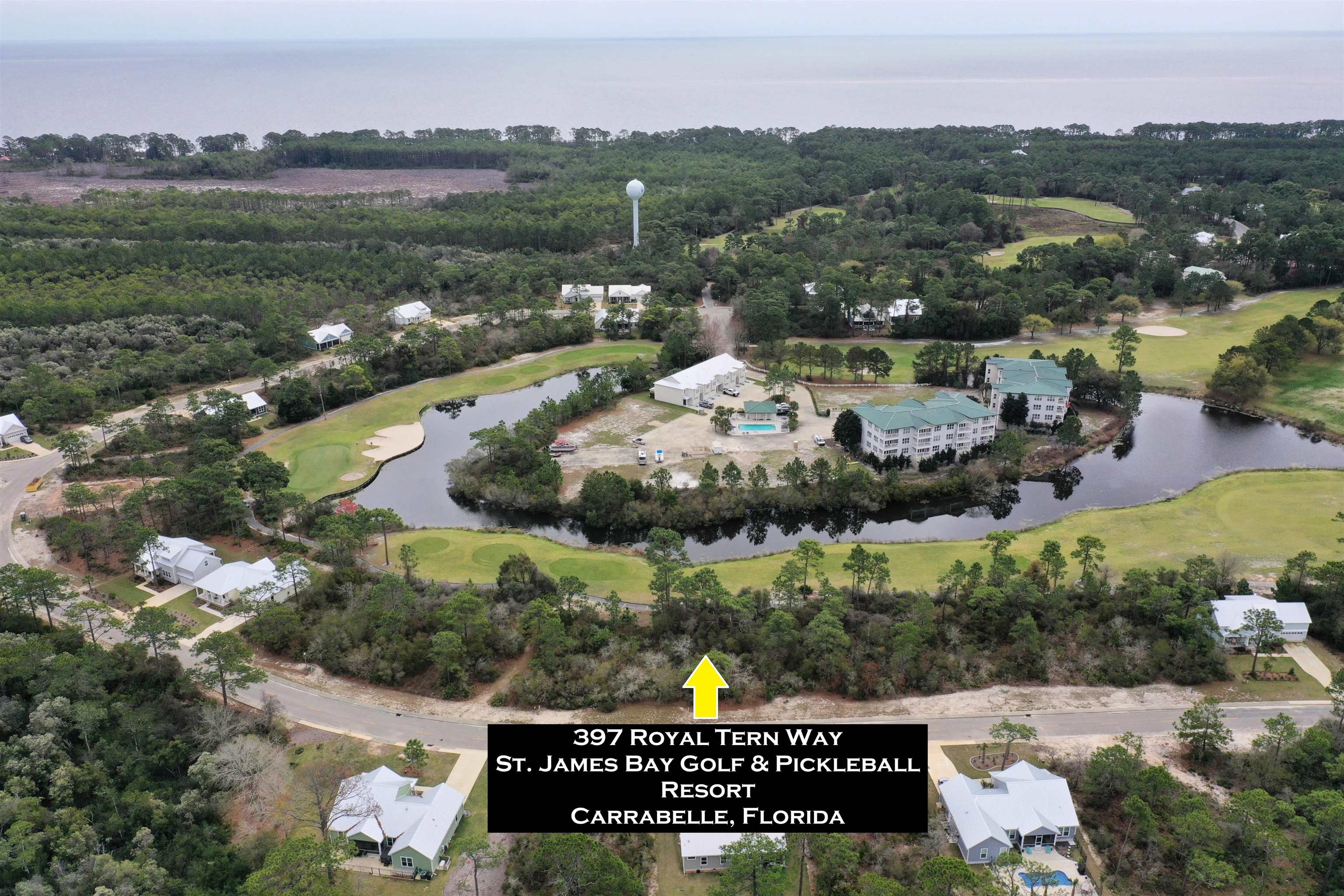 397 Royal Tern Way, Carrabelle, Florida image 11